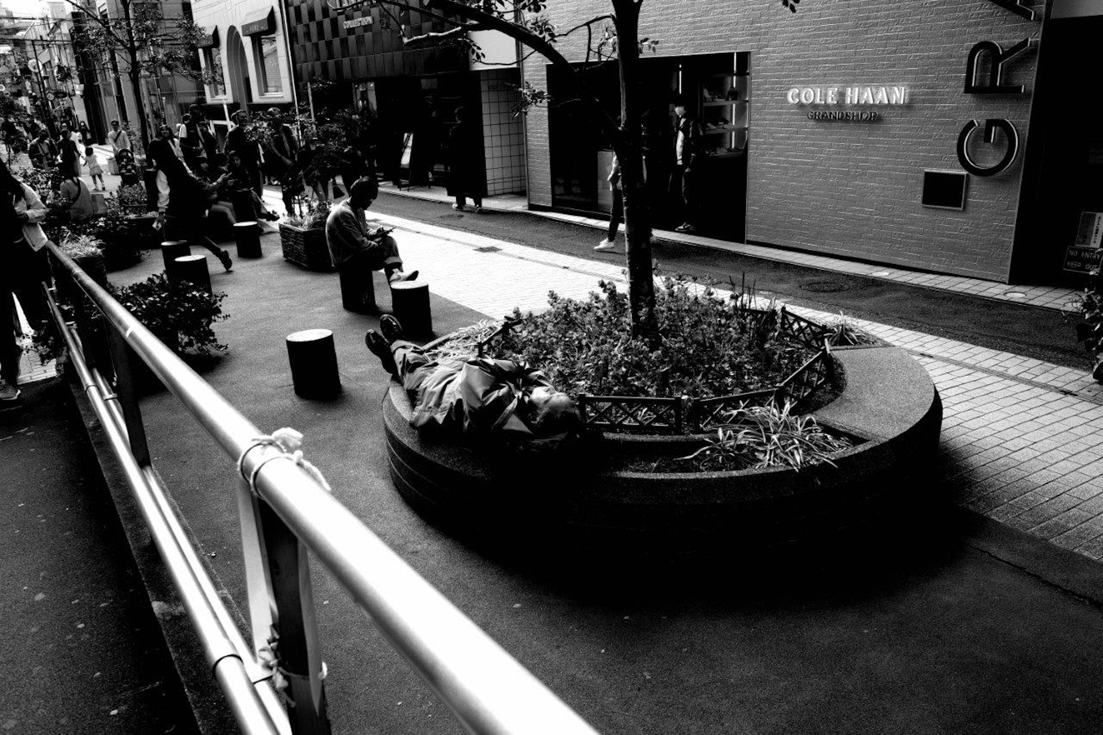 Scène urbaine en noir et blanc avec un parc et des bancs