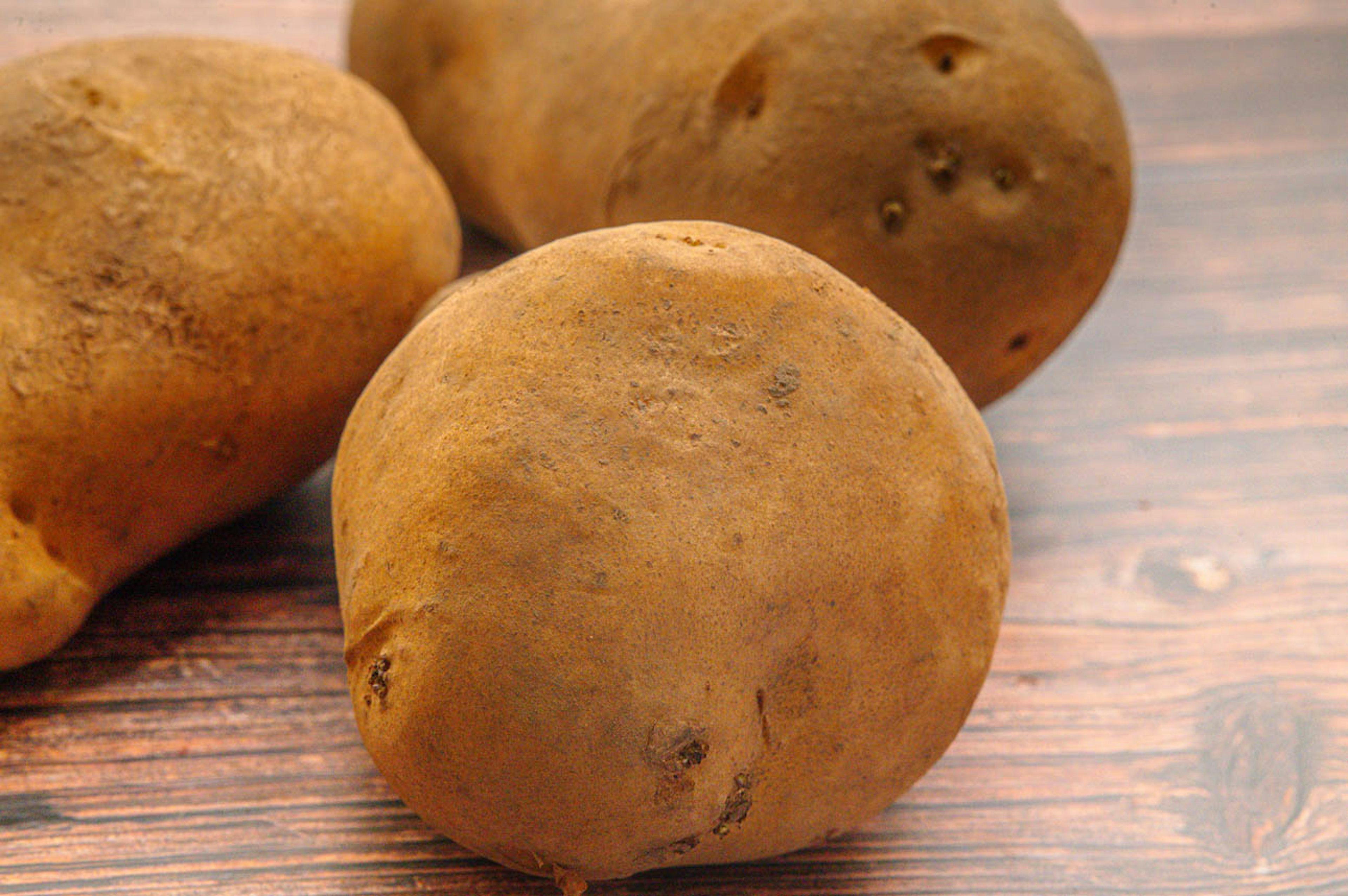 Three unwashed potatoes with earthy skin on a wooden table