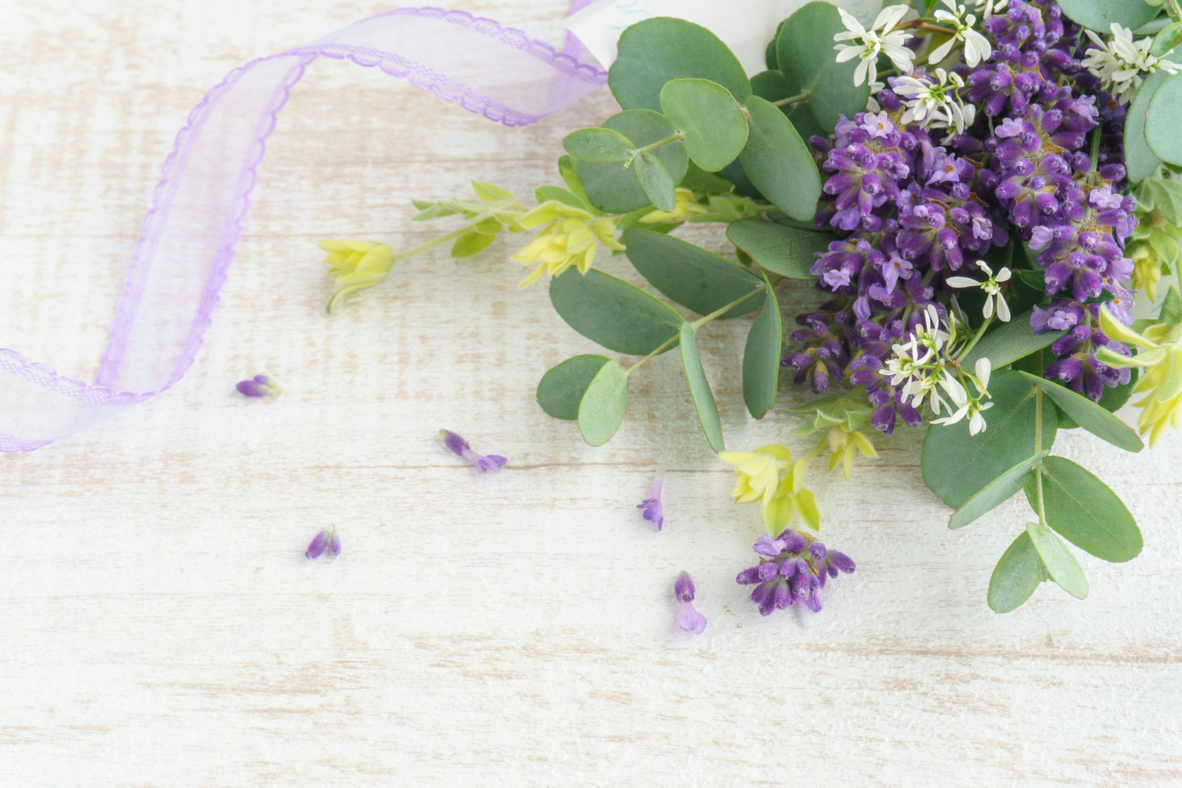 Arreglo de flores moradas y hojas verdes con cinta