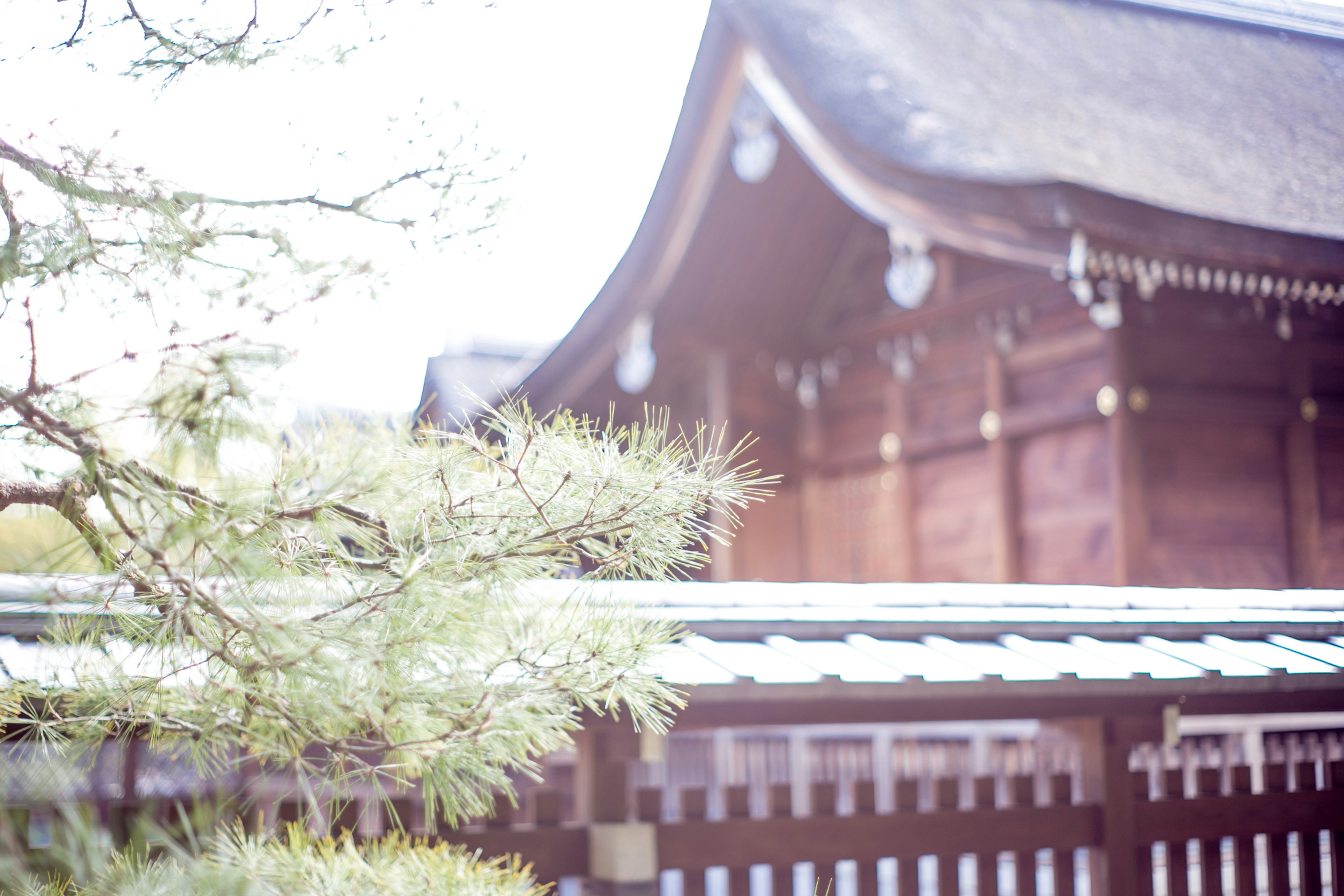 Bangunan kayu tradisional Jepang dengan tanaman hijau di latar depan