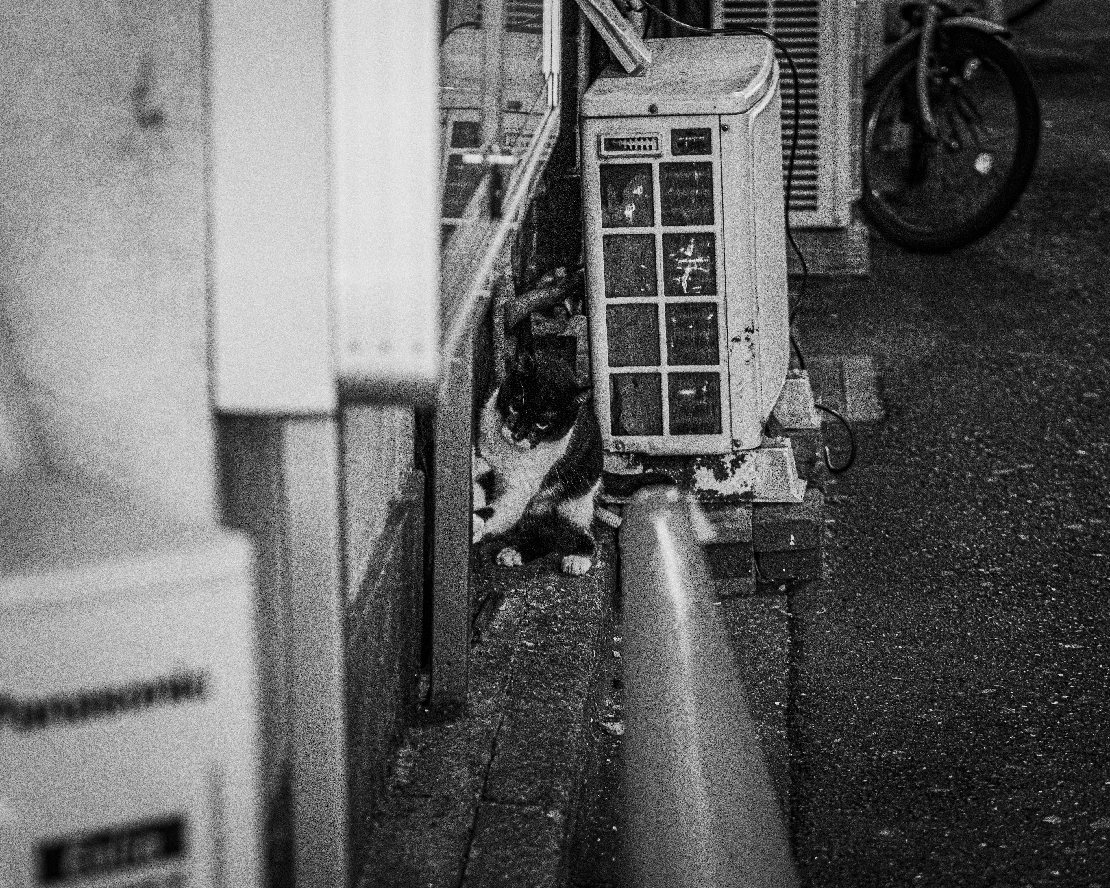 Un gato relajándose en el espacio de una unidad de aire acondicionado en un entorno urbano en blanco y negro