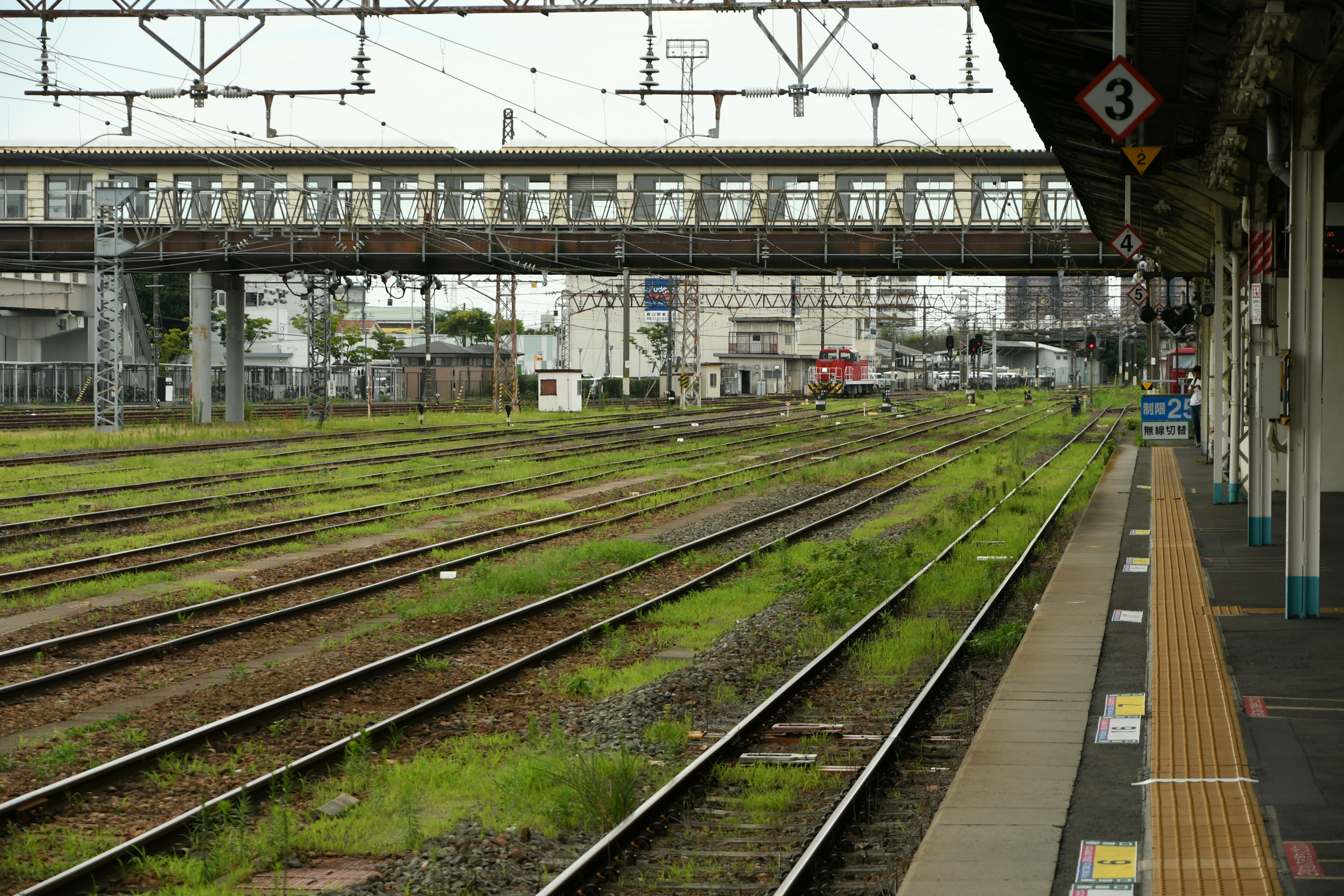 Vista di binari ferroviari coperti d'erba e di un ponte elevato da una banchina di stazione