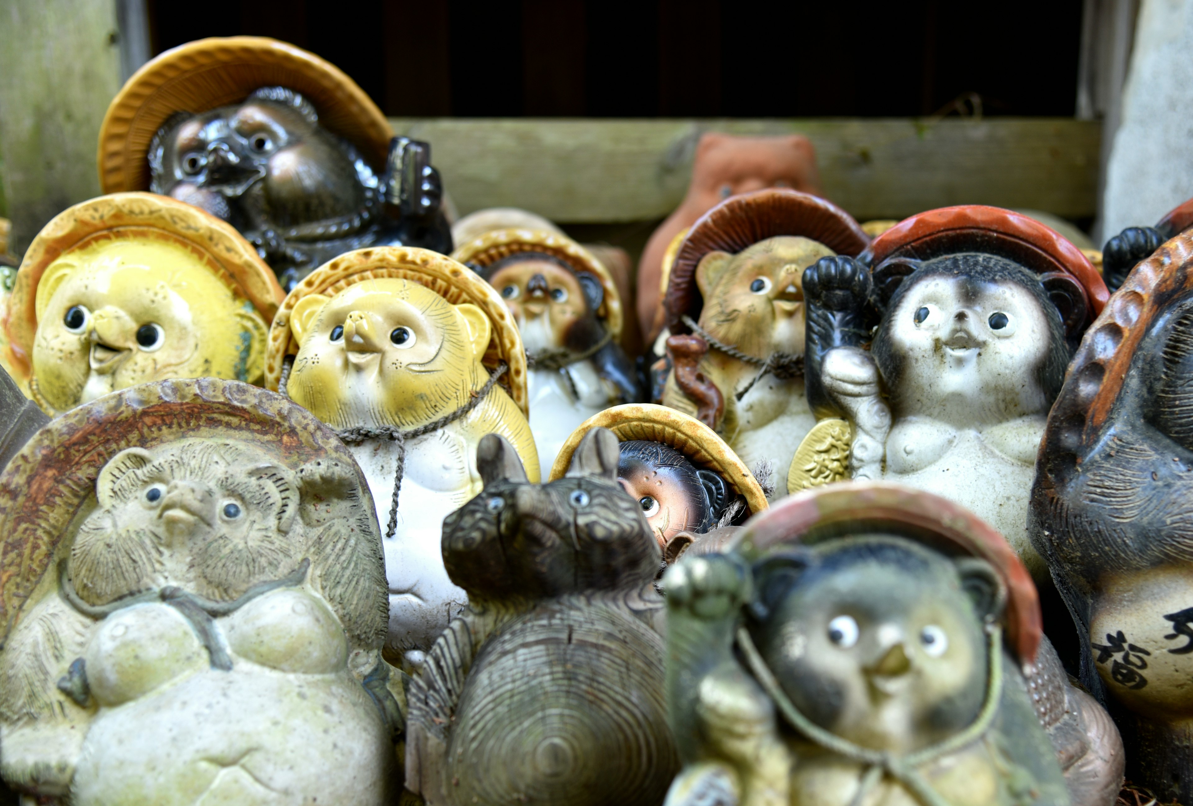 A collection of ceramic tanuki figurines with various expressions