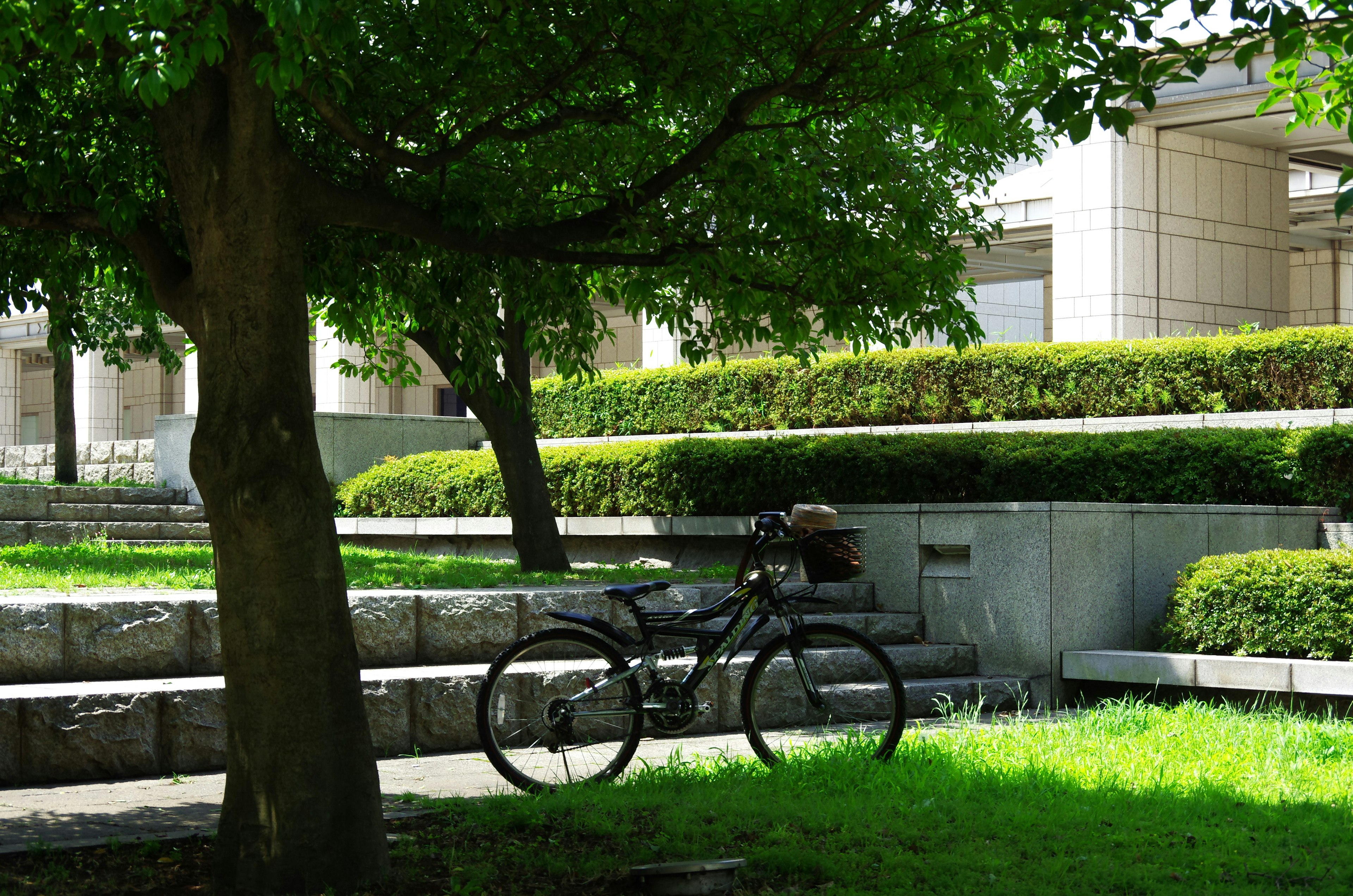 Bicycle resting on green grass in a park with trees and modern architecture