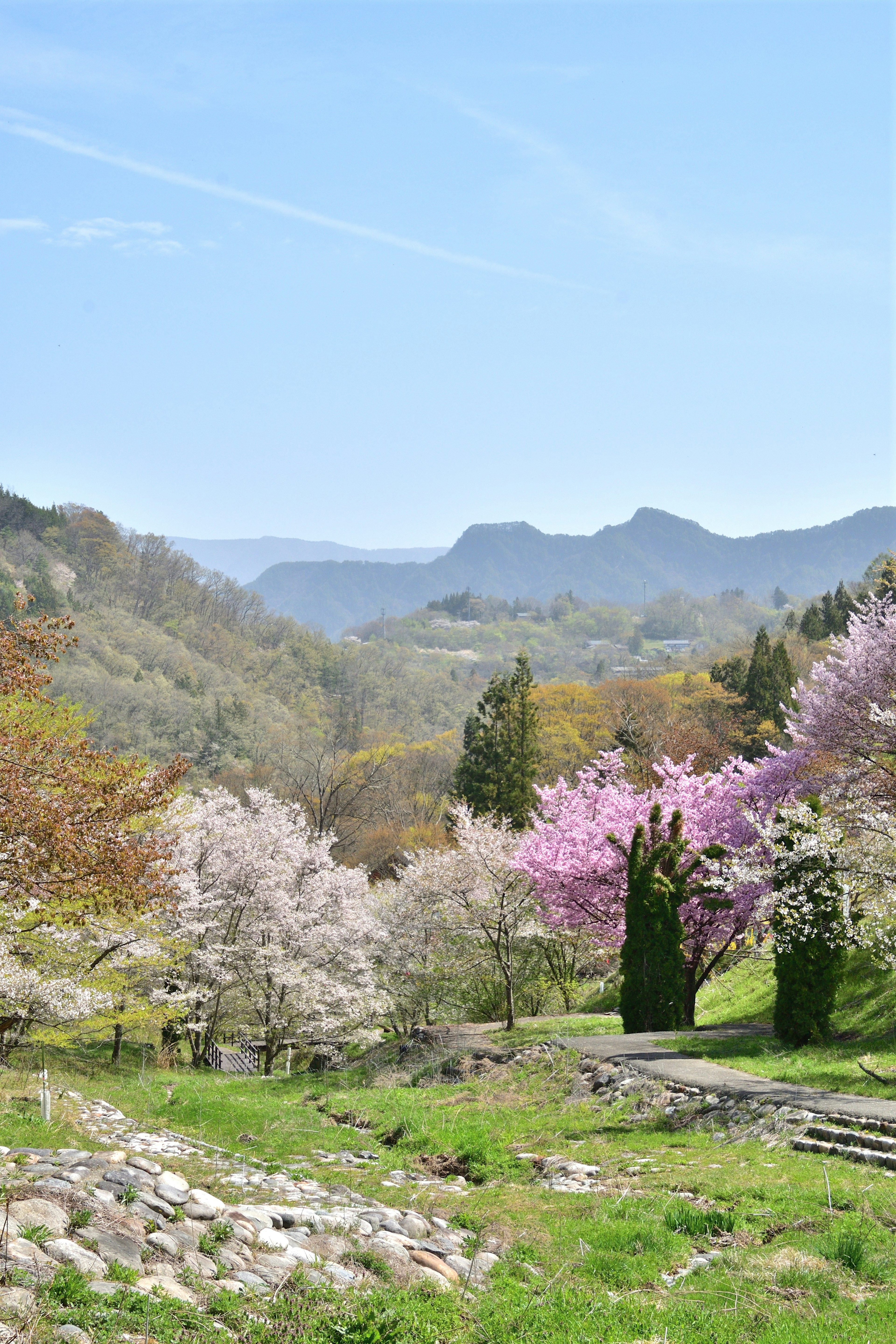 Beau paysage printanier avec des fleurs en fleurs montagnes et ciel bleu clair