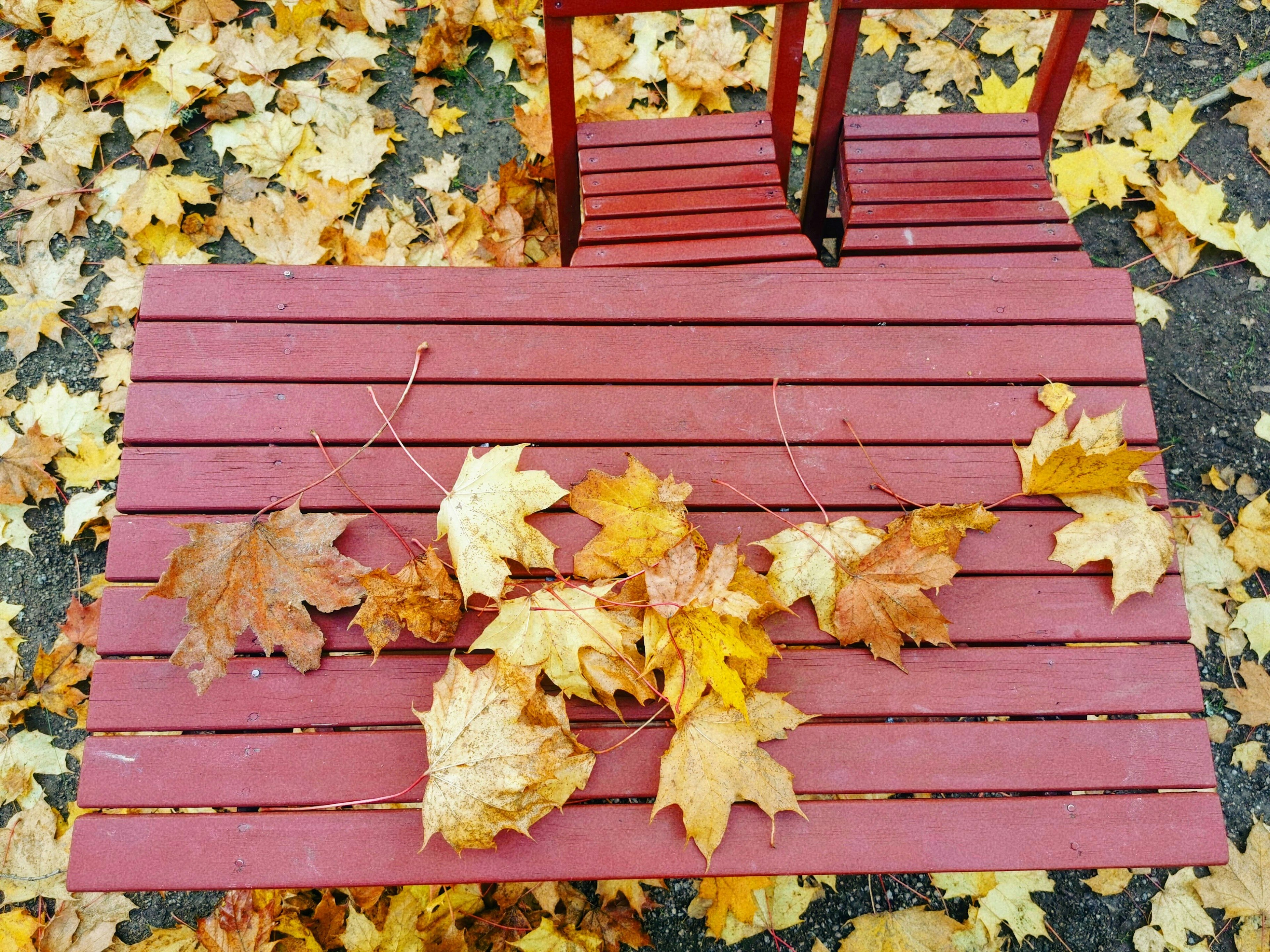 Table rouge avec des feuilles d'automne jaunes éparpillées