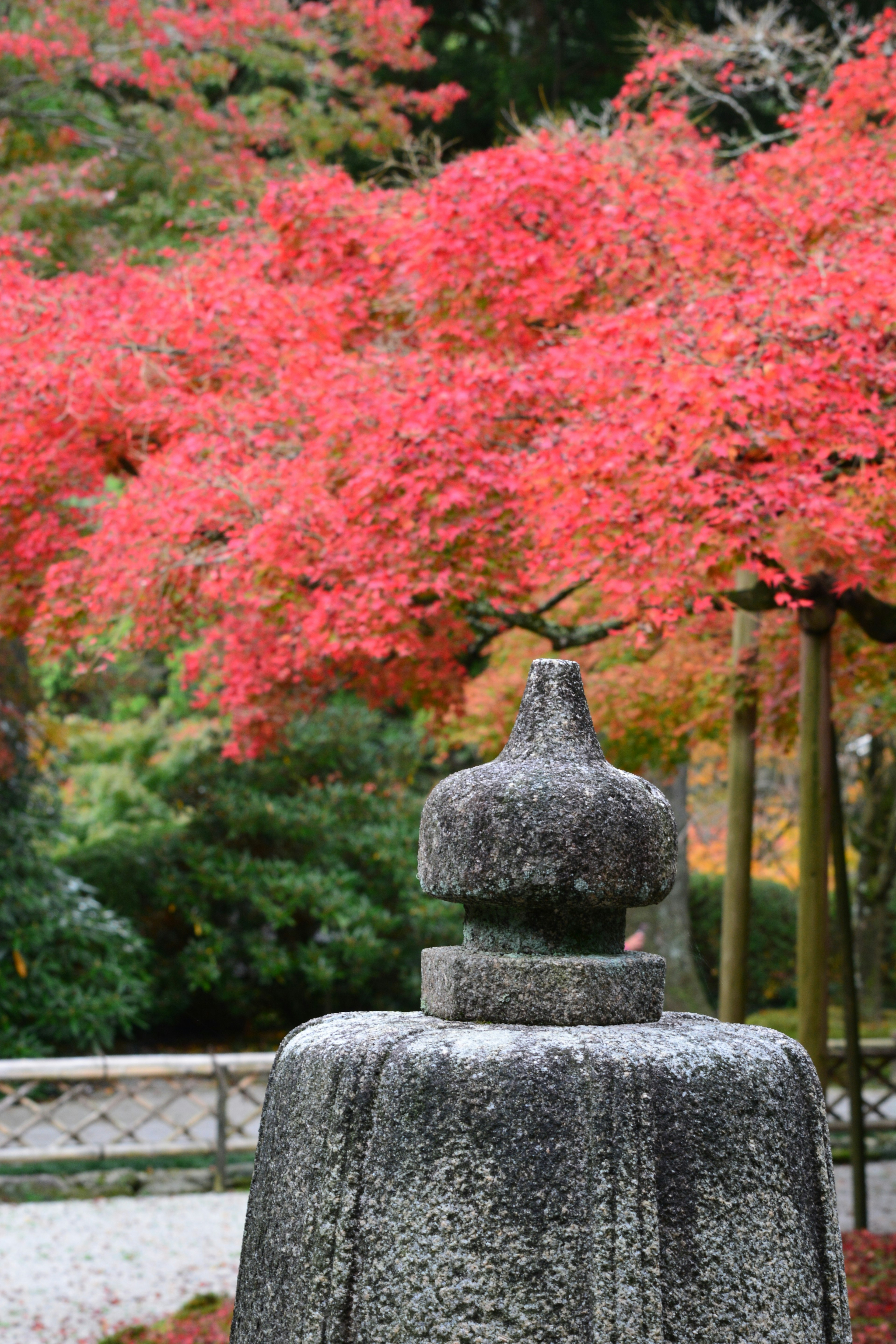 紅葉の背景にある石の灯篭の風景