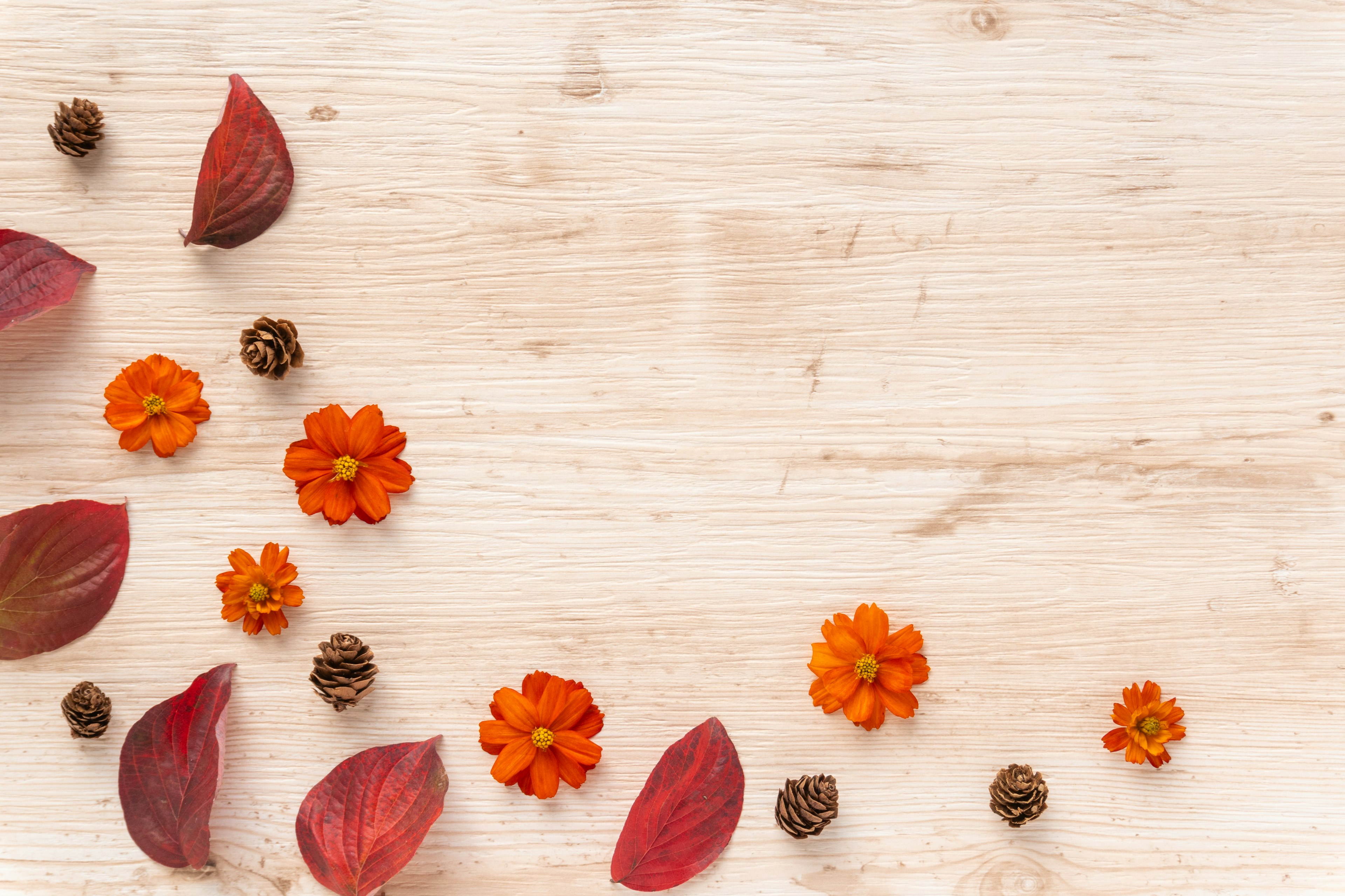 Rote Blumen und Blätter auf einem Holztisch verstreut