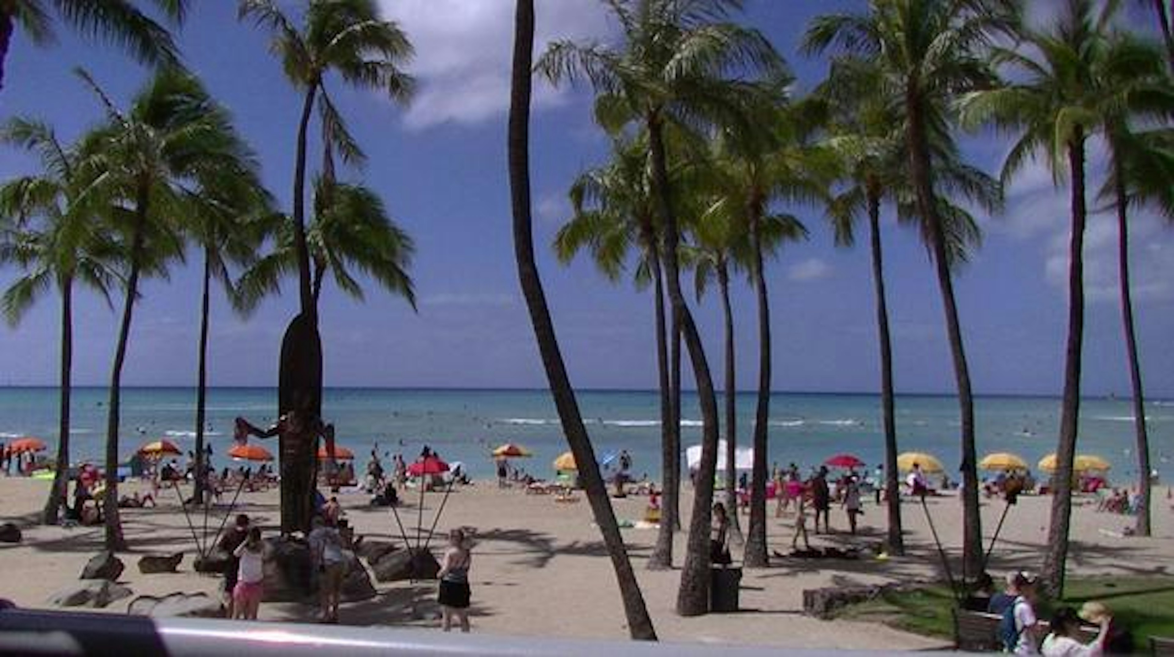 Beach scene with palm trees blue ocean and colorful umbrellas