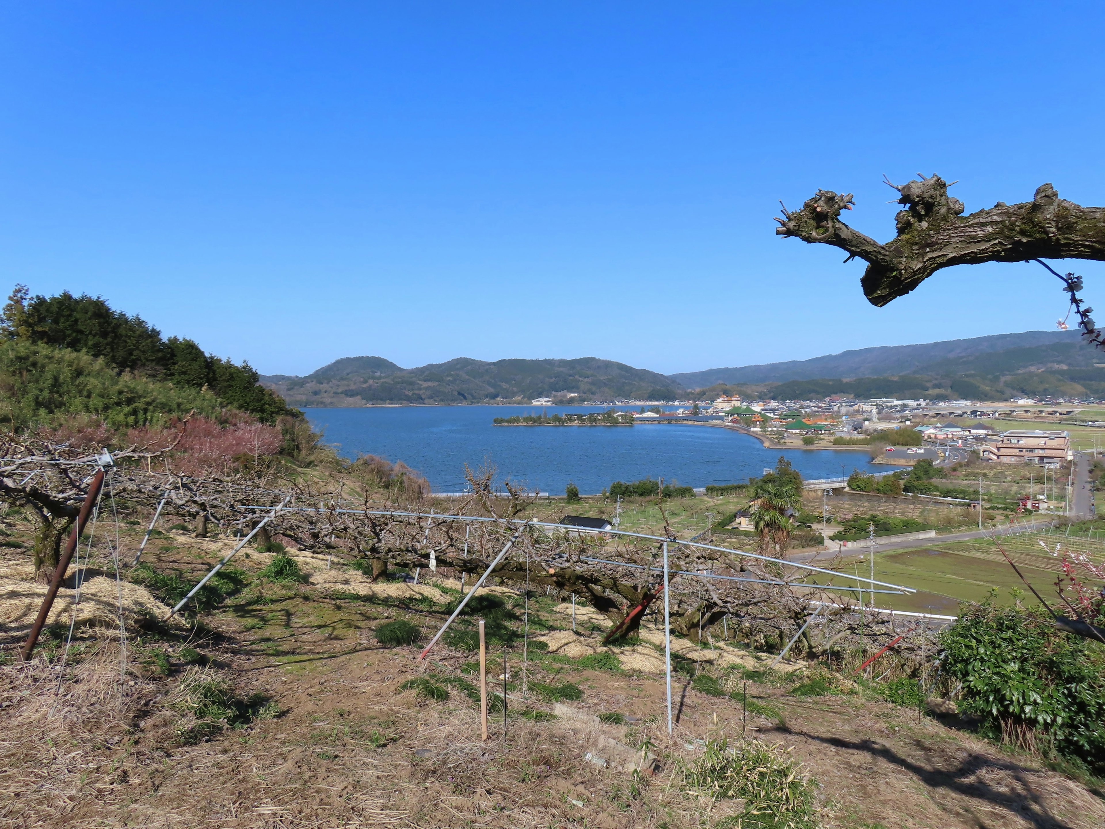 Vista serena del mar y el cielo azul con tierras agrícolas circundantes