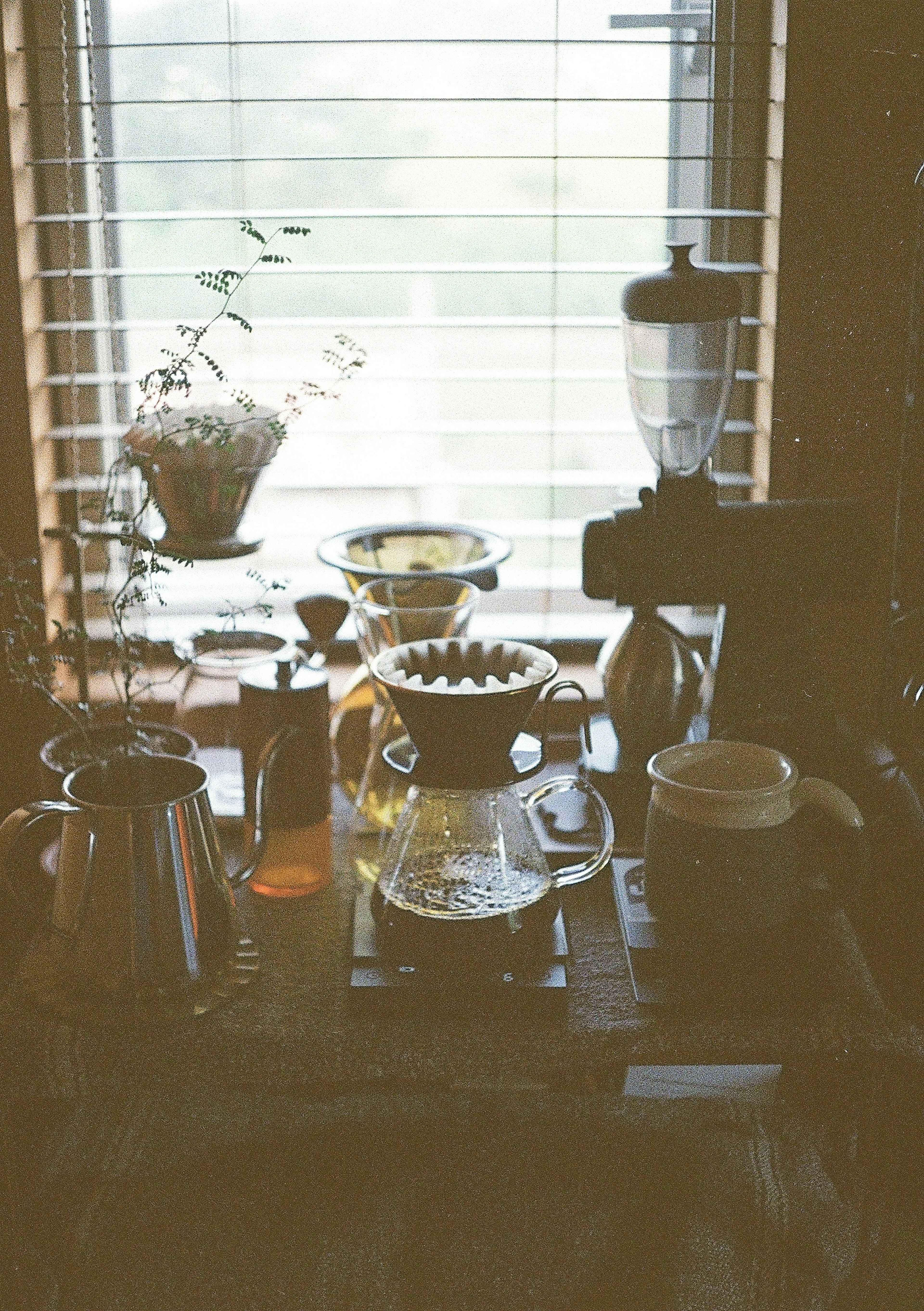 Coffee brewing setup with various tools and plants by a window