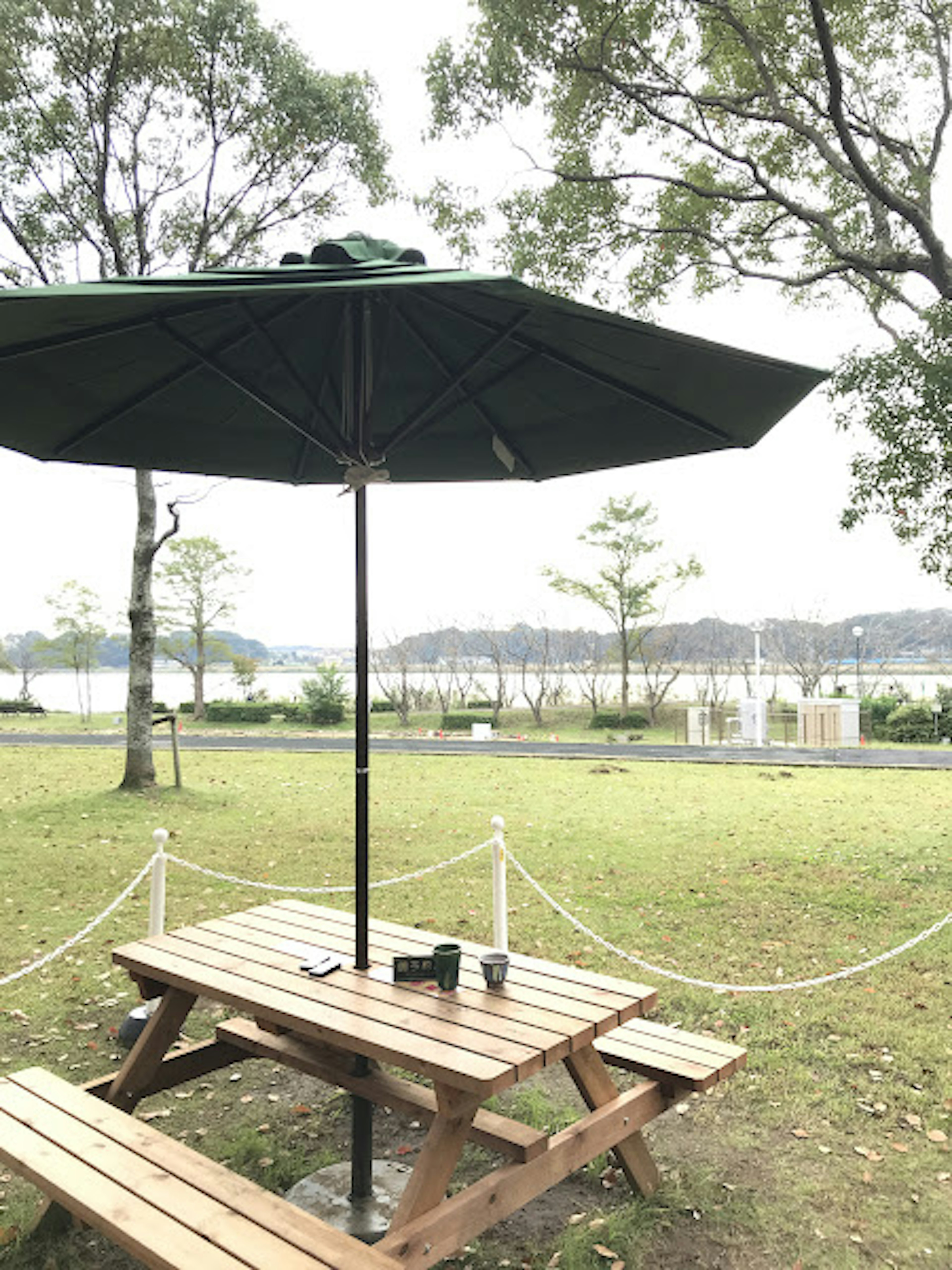 Wooden picnic table with green umbrella in a park setting