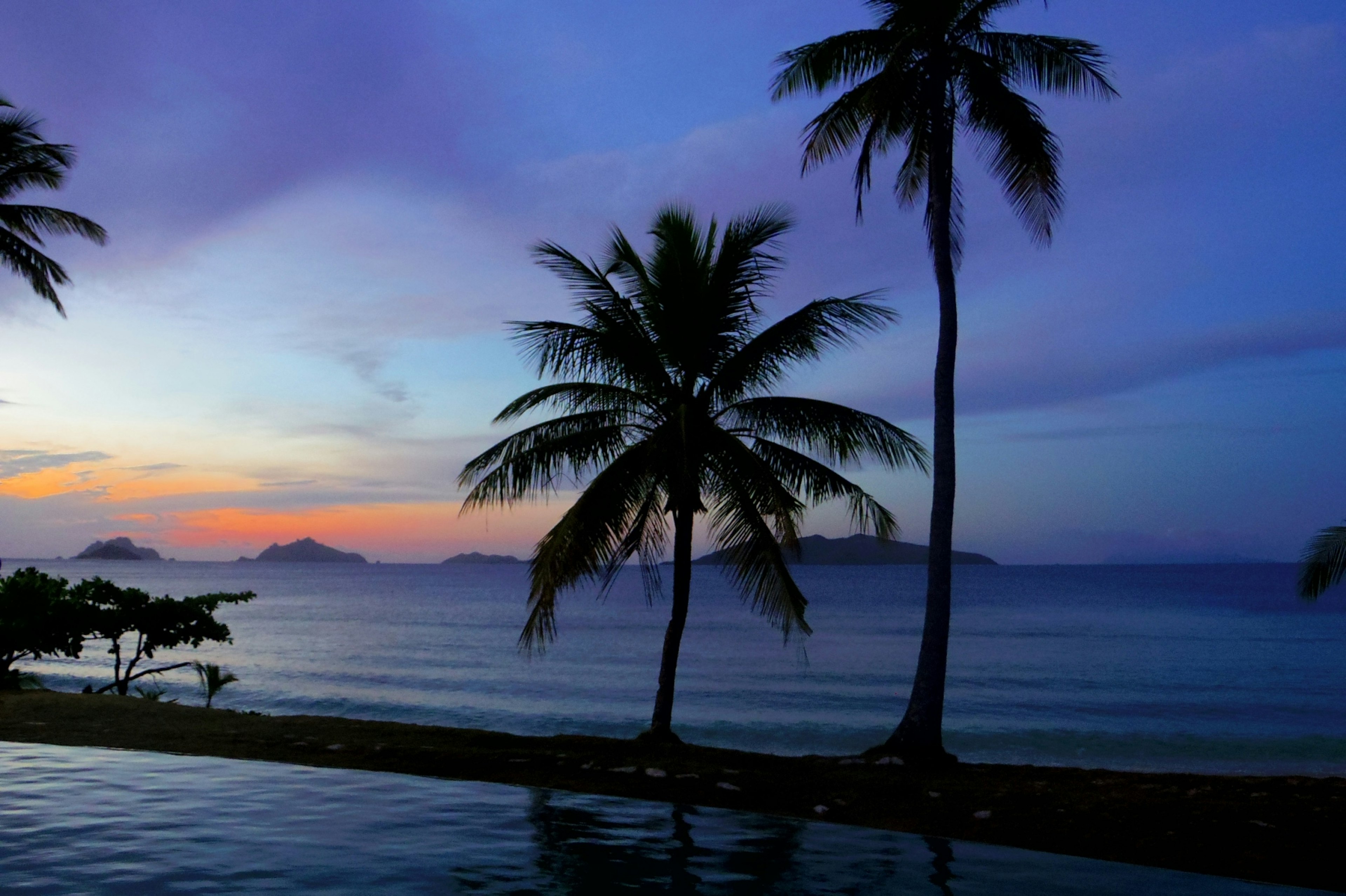 Silhouette de palmiers contre une plage au crépuscule et l'océan