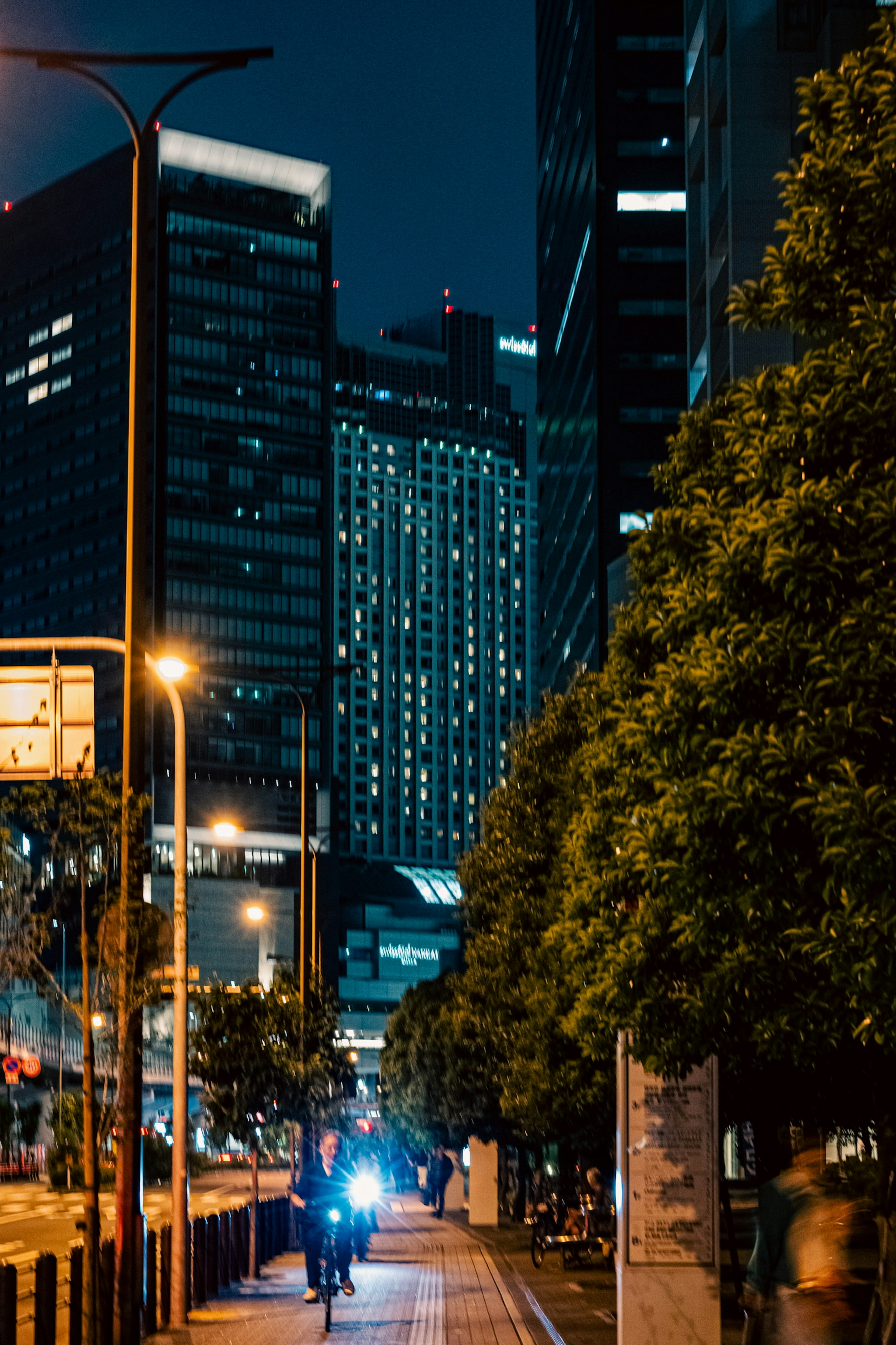 夜の都市の風景 高層ビルの明かりと街路樹が並ぶ道