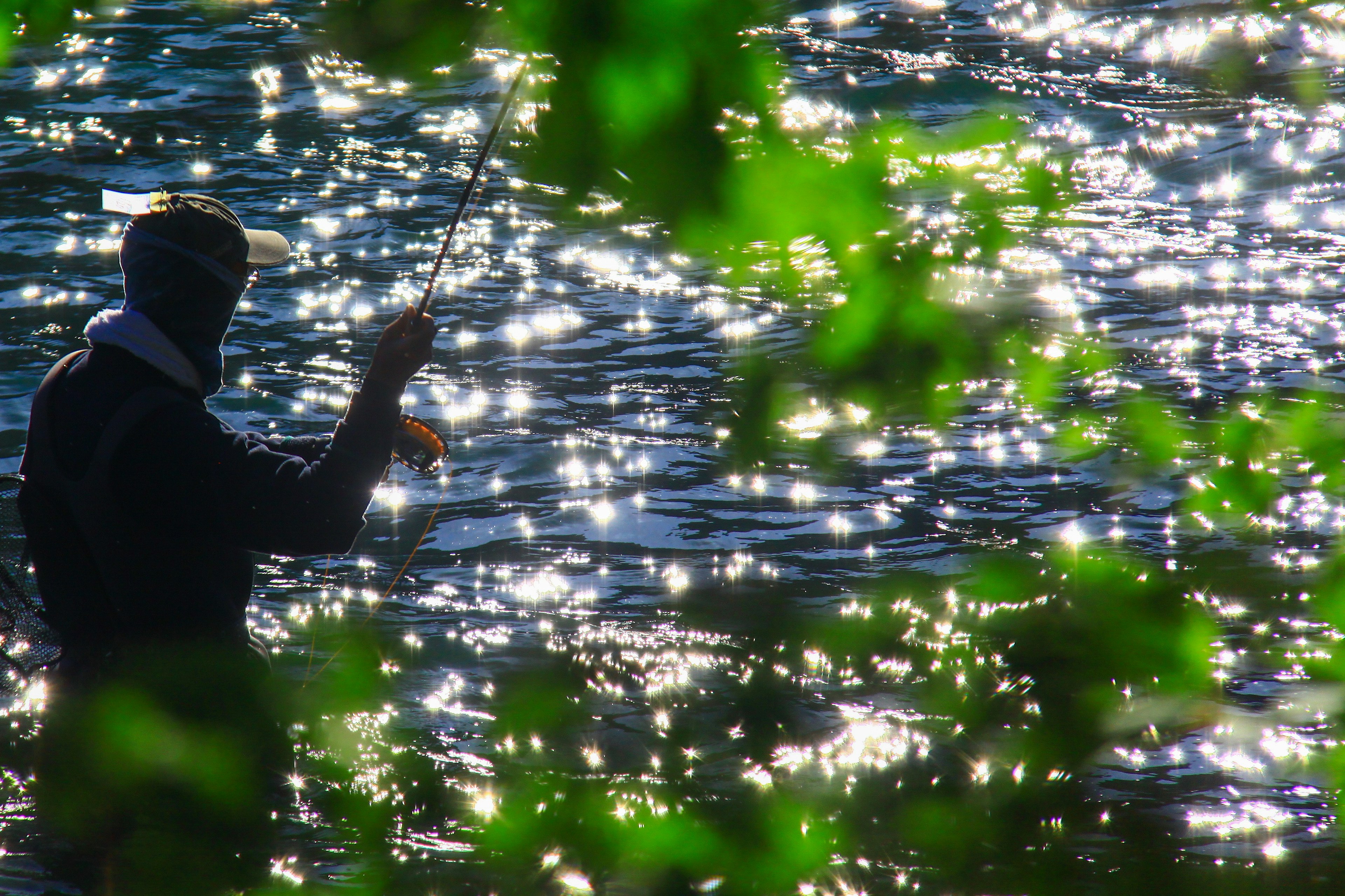 Silueta de una persona pescando en la superficie del agua con reflejos brillantes y hojas verdes en primer plano