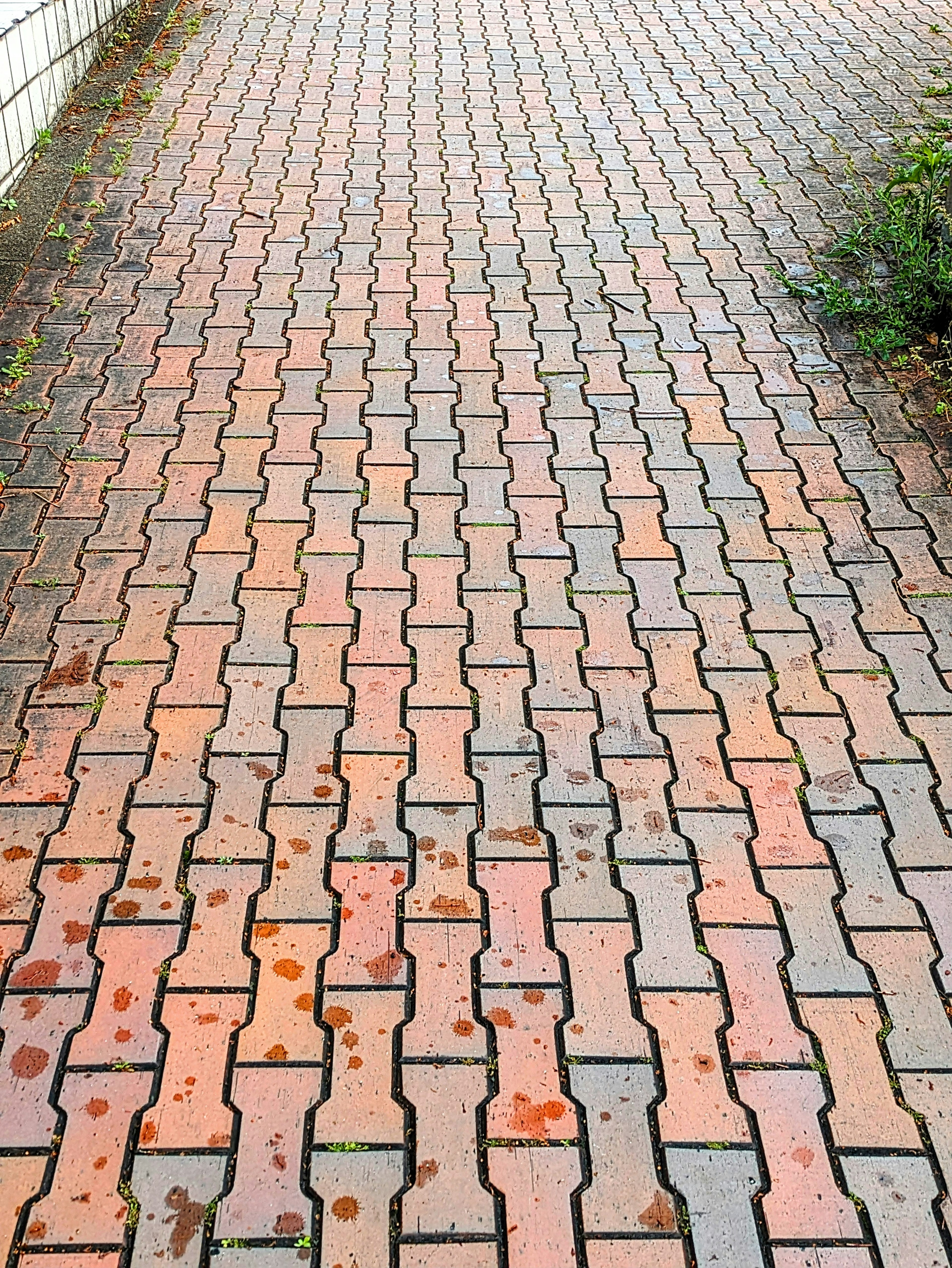 Chemin en briques mouillées avec des briques orange et grises