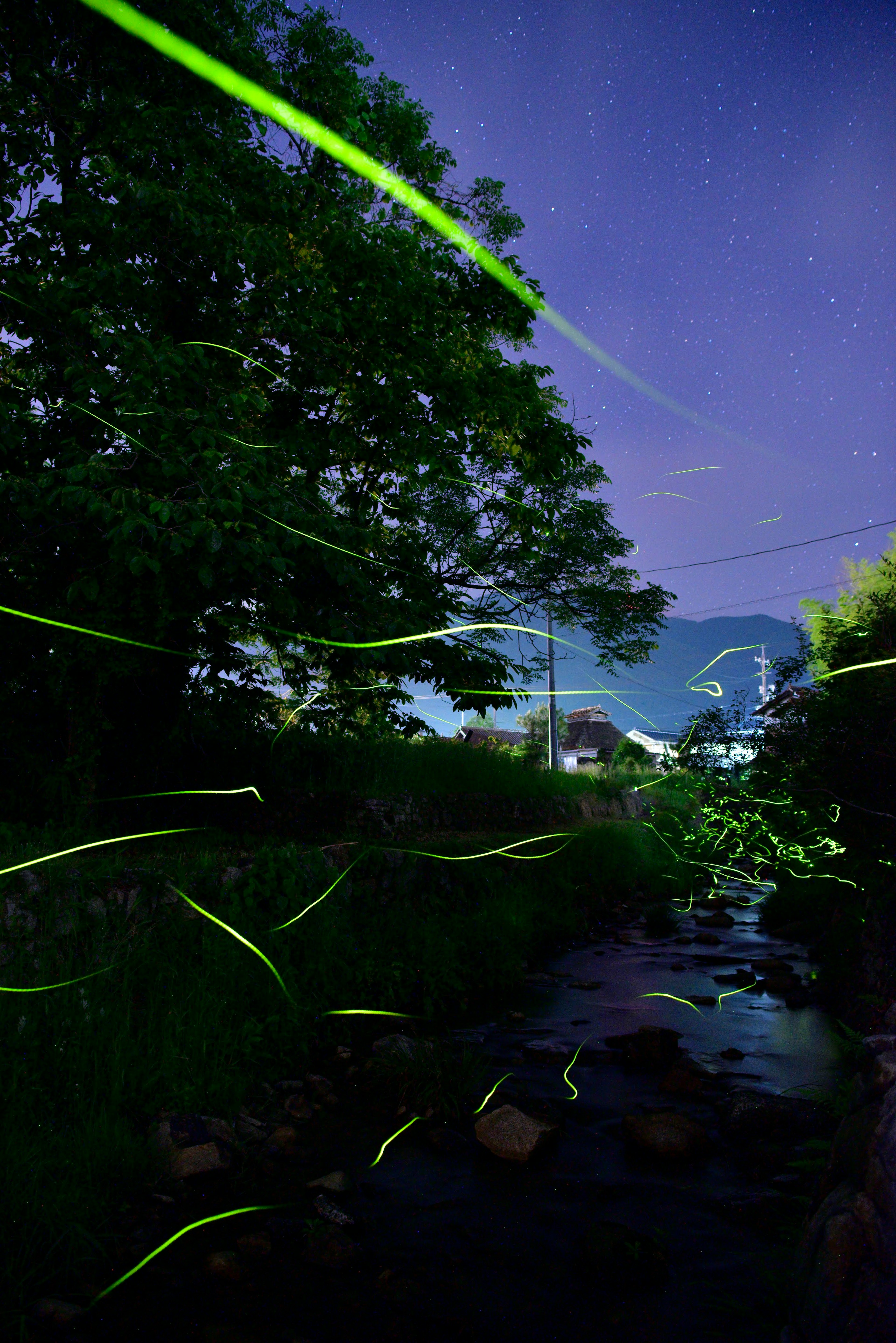 Un paisaje de luciérnagas brillando en un arroyo bajo el cielo nocturno