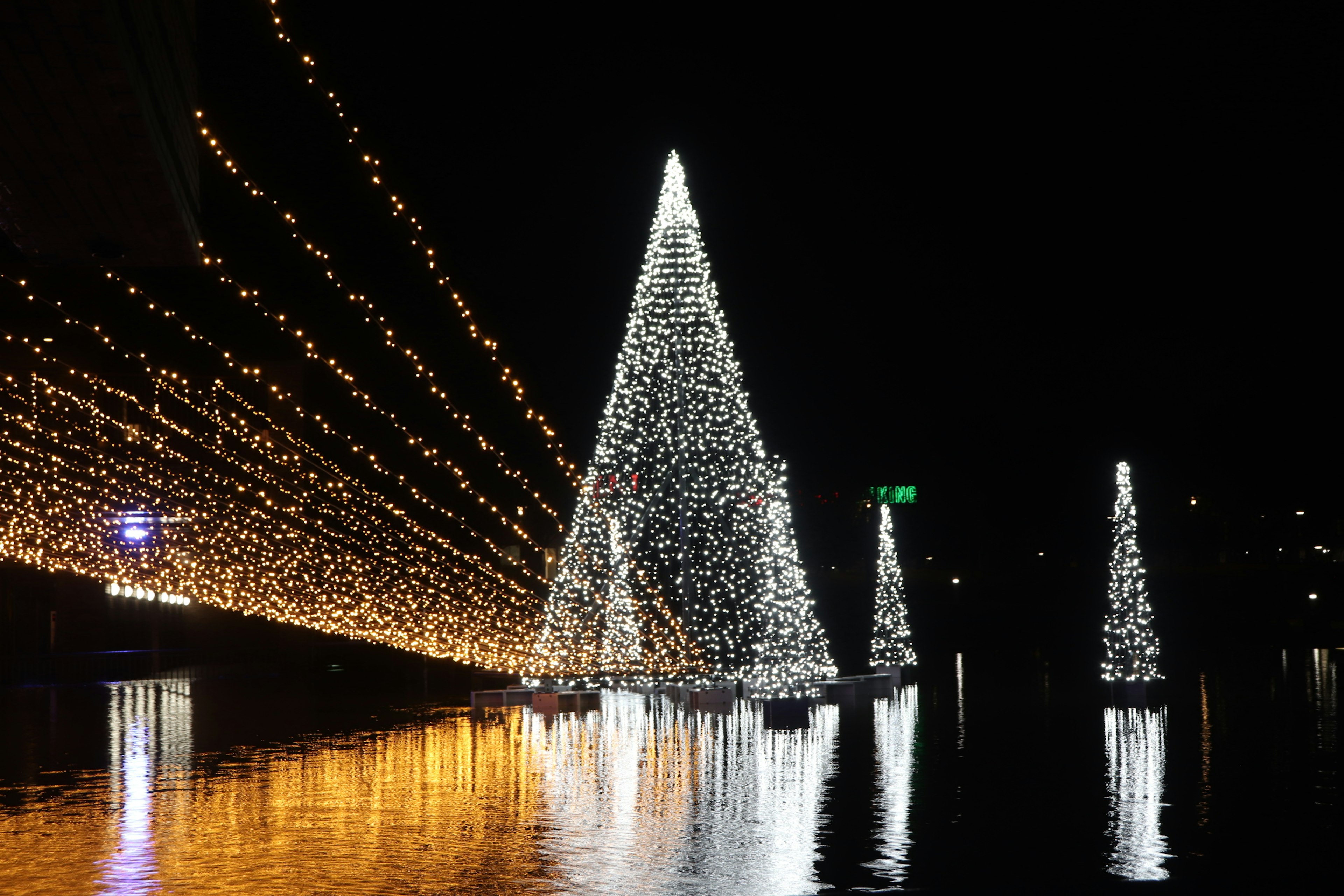 Beaux arbres de Noël illuminés reflétant sur l'eau la nuit