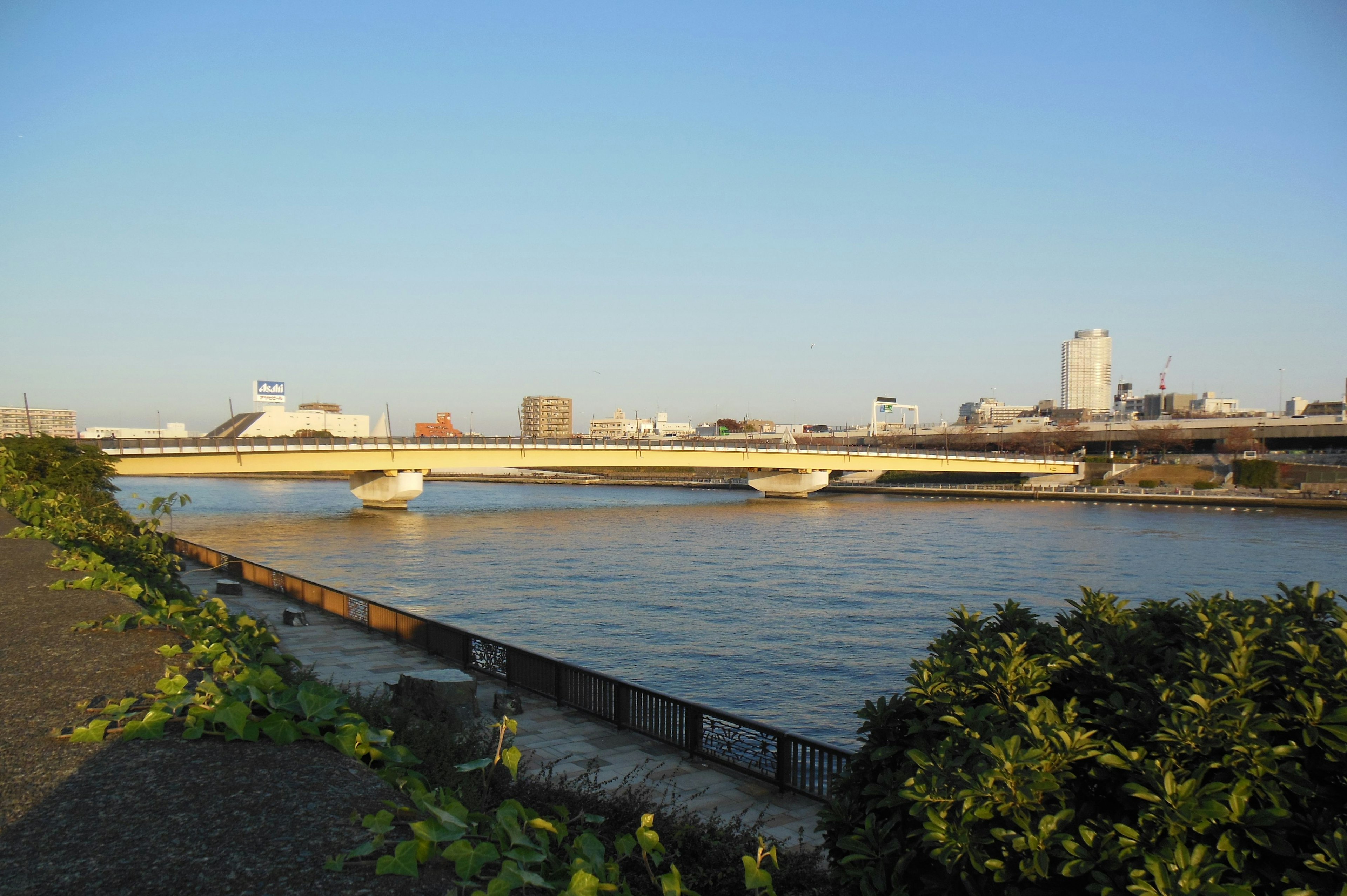 在晴朗藍天下的河流與橋樑城市建築在背景中