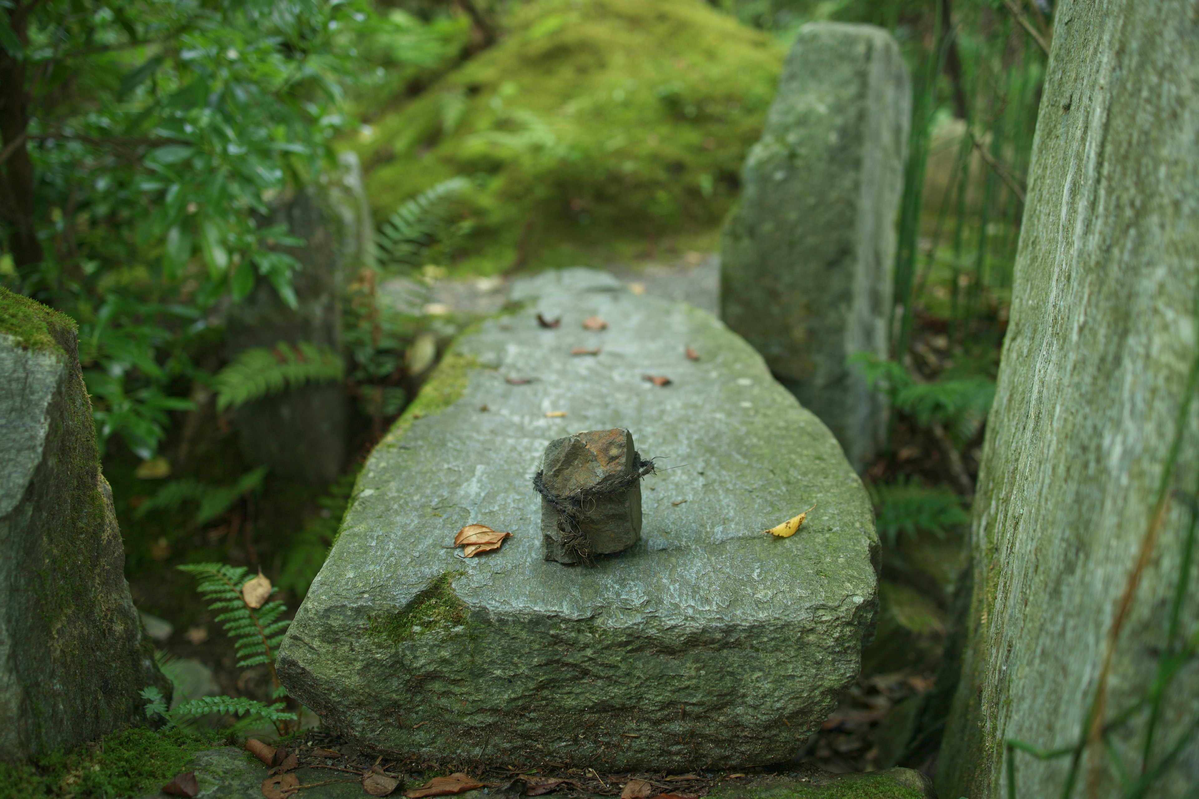 A small wooden object placed on a moss-covered stone table surrounded by greenery