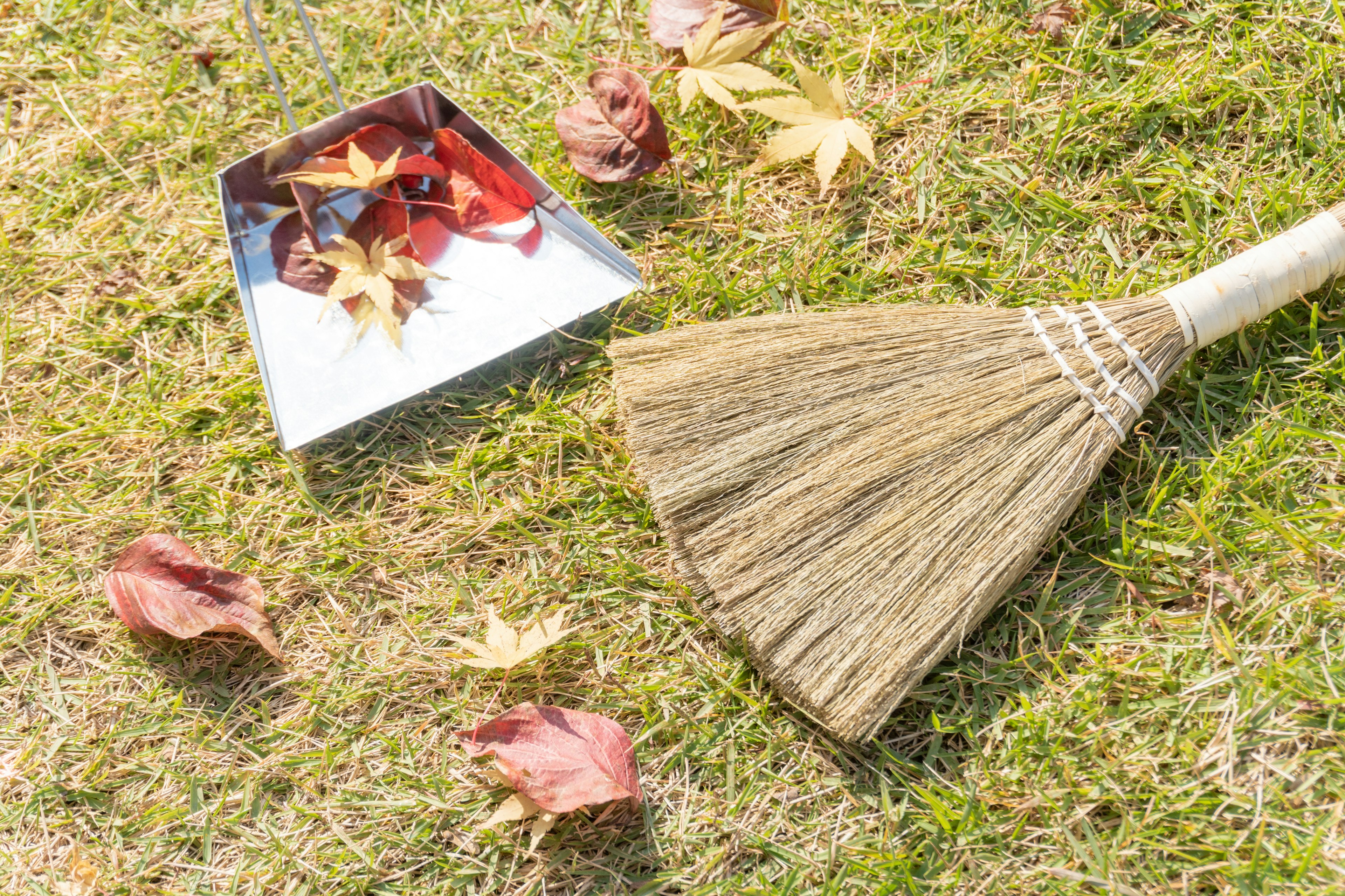 Quiet garden scene with autumn leaves broom and dustpan