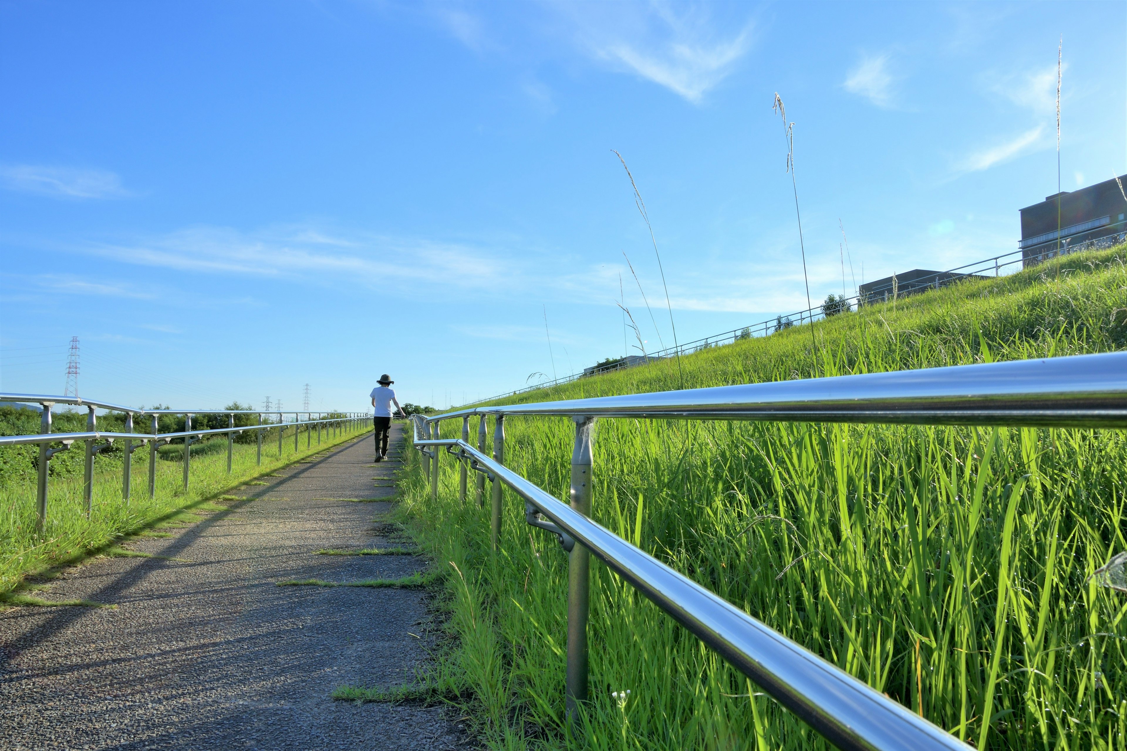 Una persona caminando por un camino cubierto de hierba bajo un cielo azul