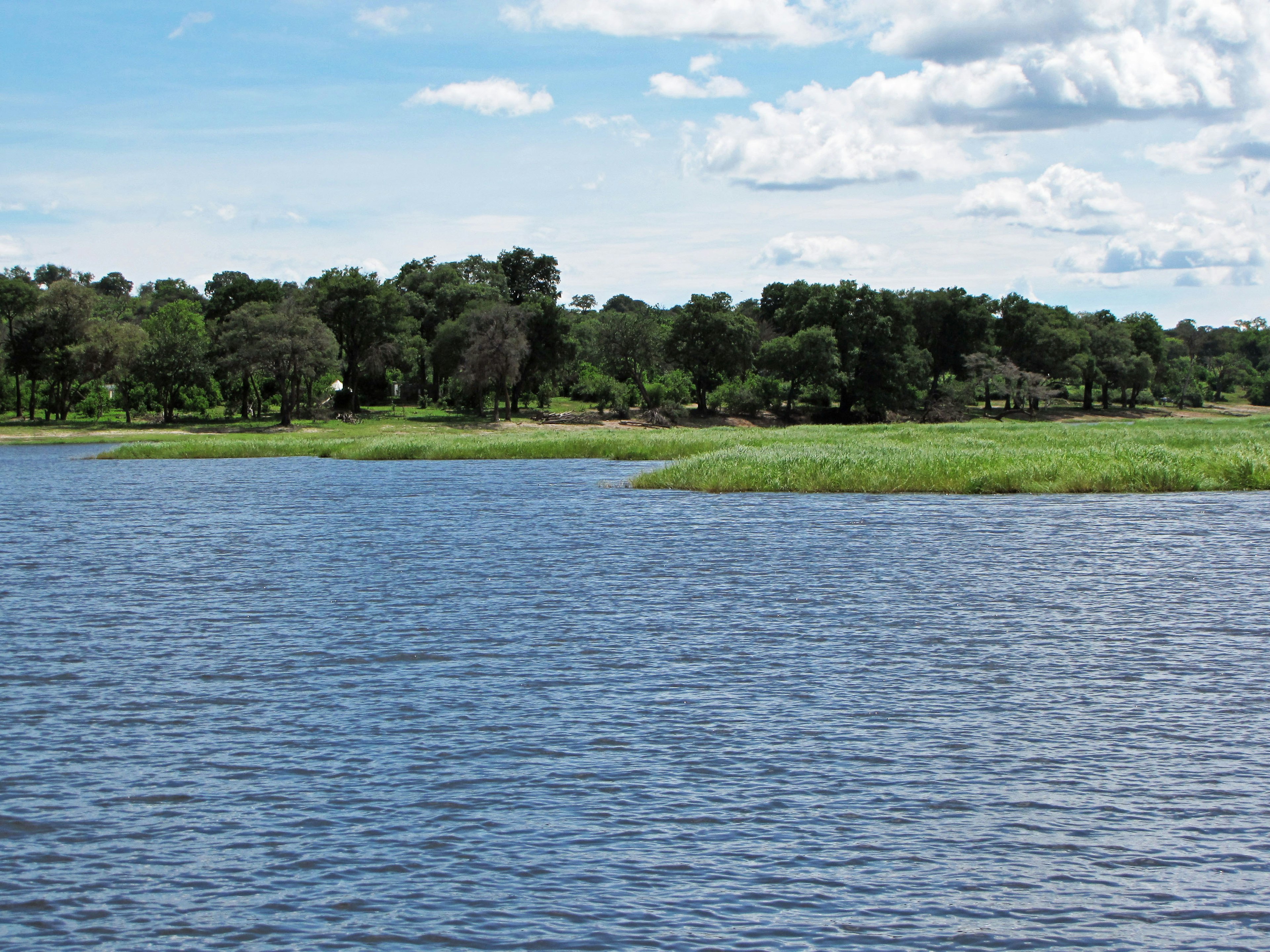 Scenic view of a blue water surface with green shoreline