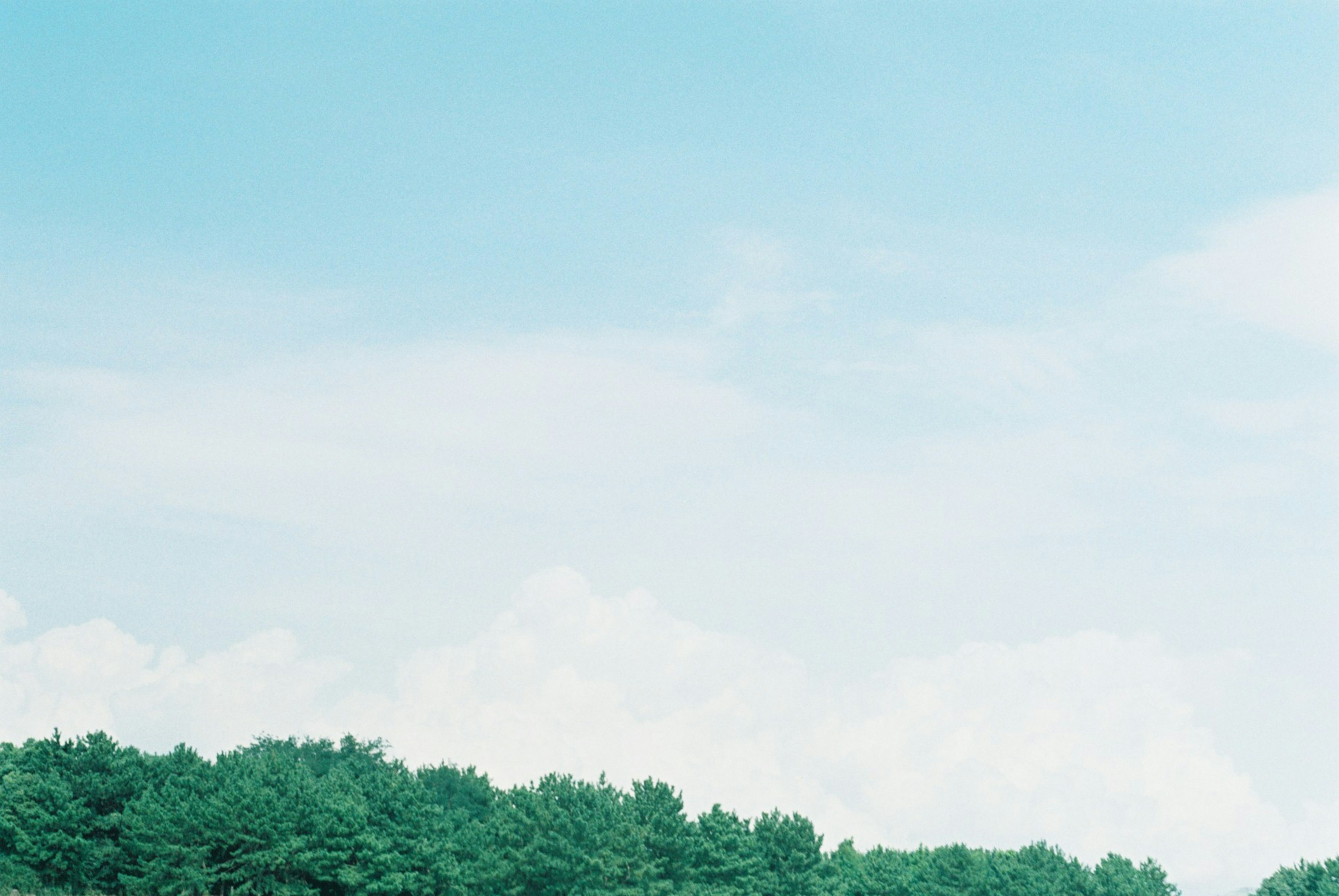 Landschaft mit blauem Himmel und grünen Bäumen