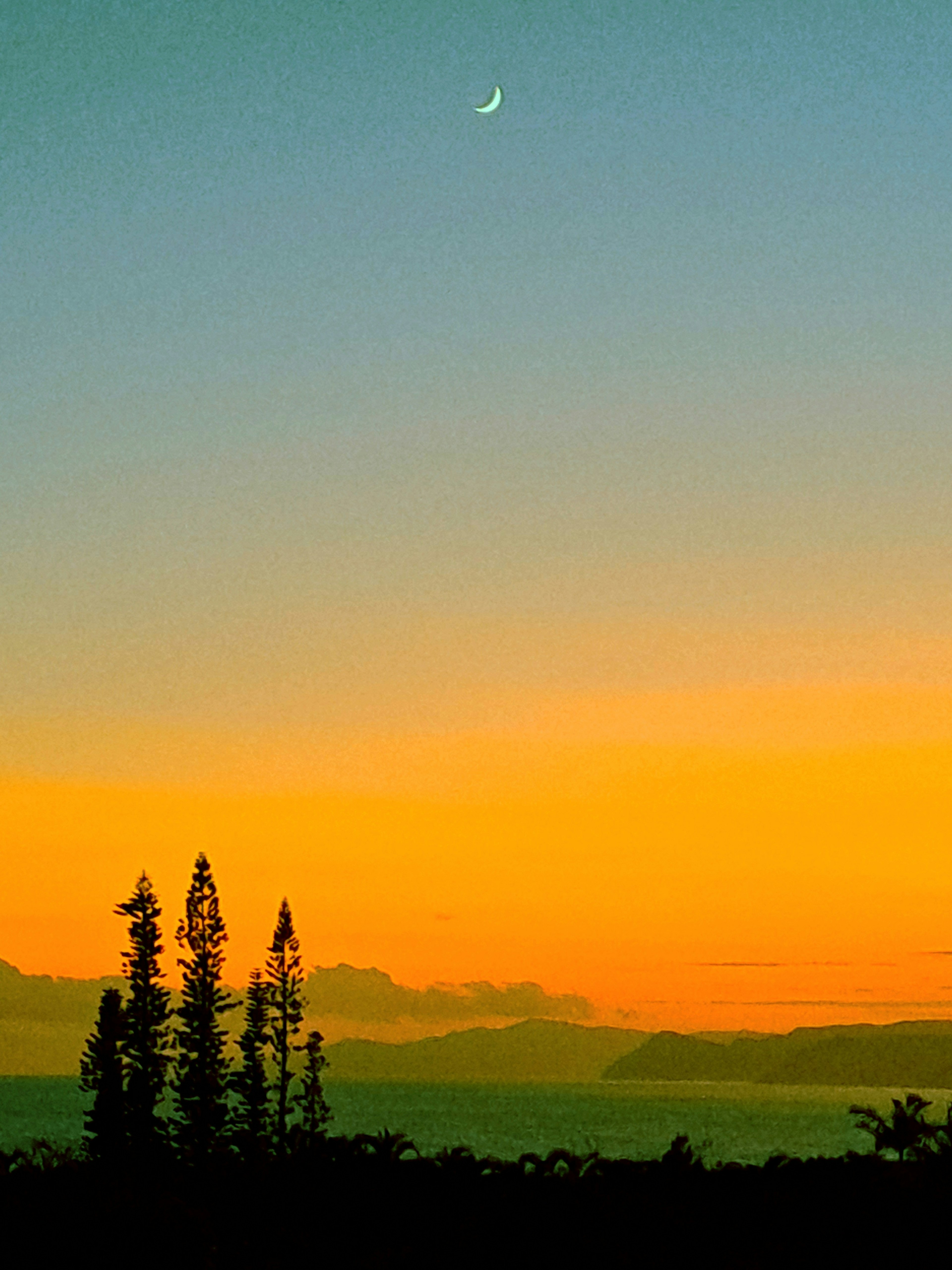 Cielo al atardecer con una luna creciente y árboles en silueta