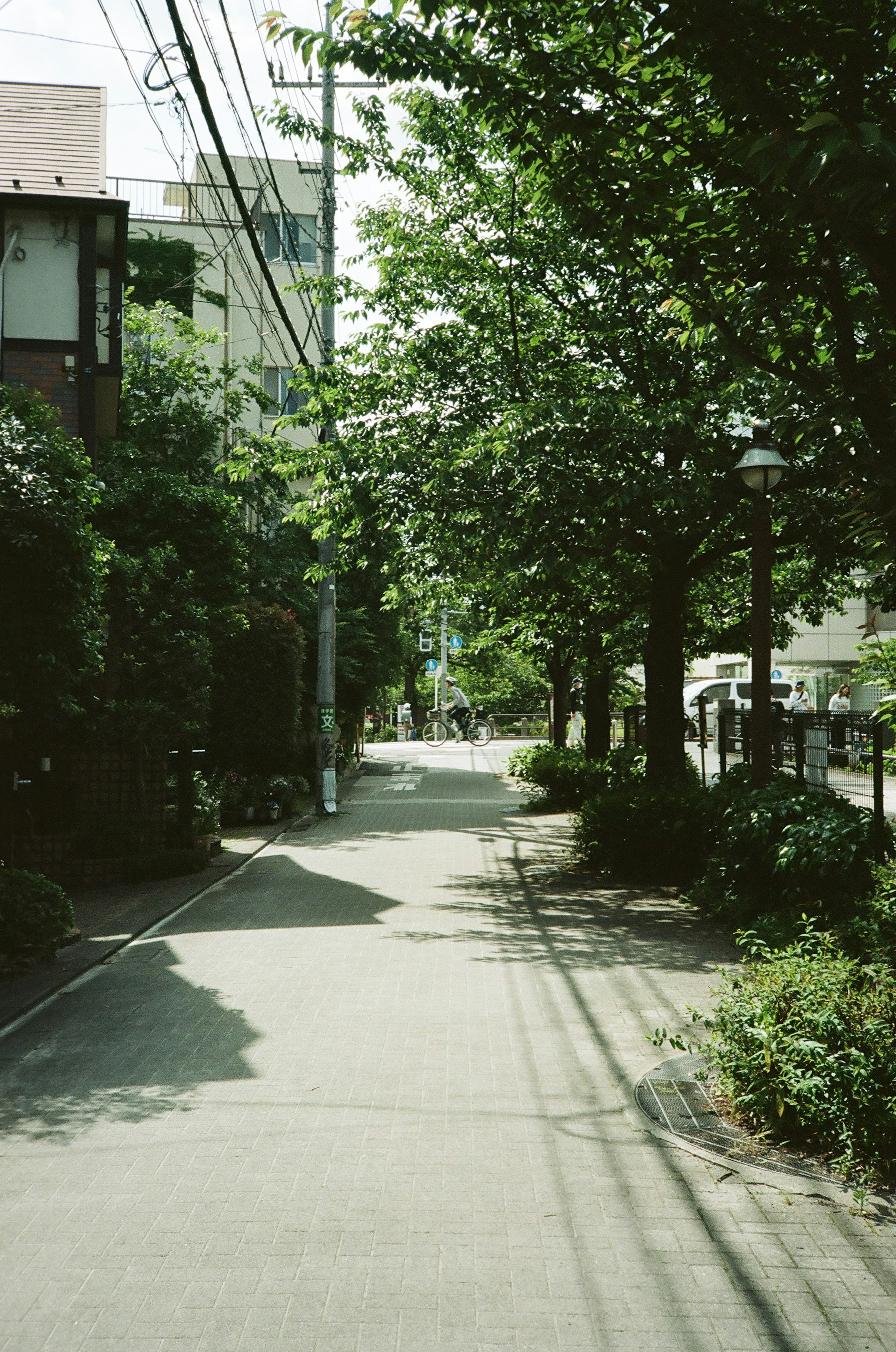 Ansicht eines baumbestandenen Bürgersteigs in einer Stadt