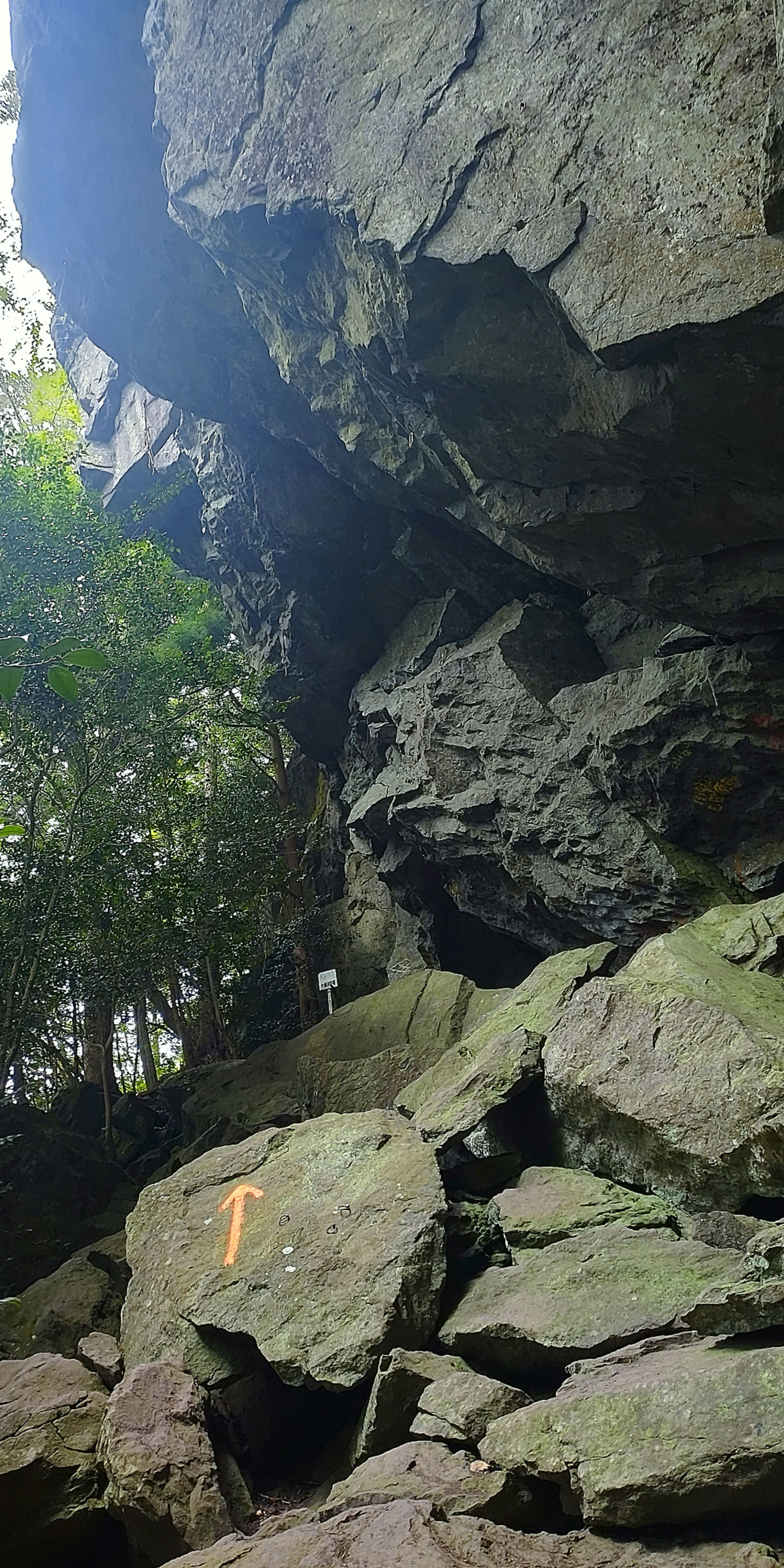 A person standing among large rocks and trees