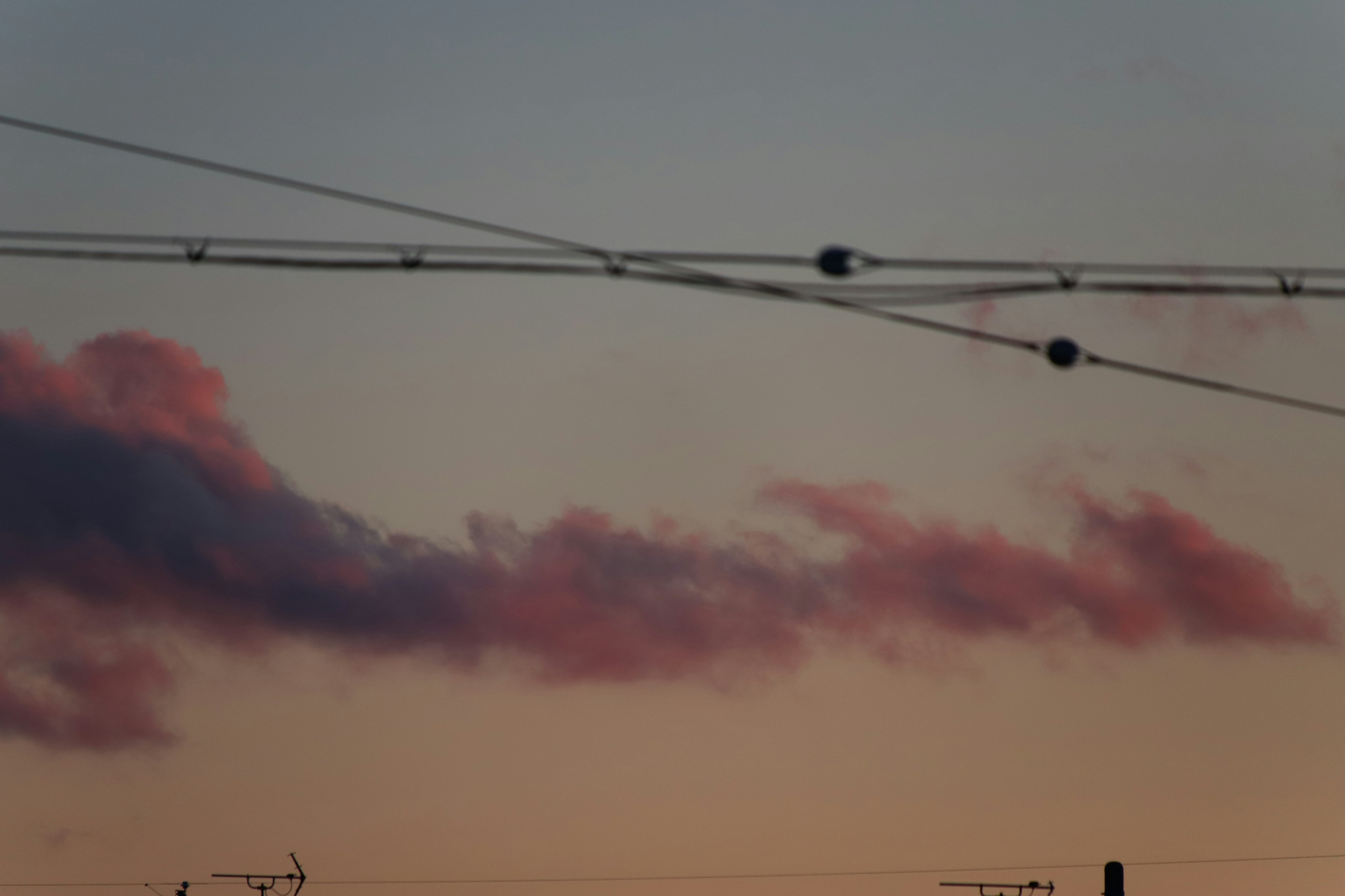 Nuvole rosa in un cielo al tramonto con cavi aerei