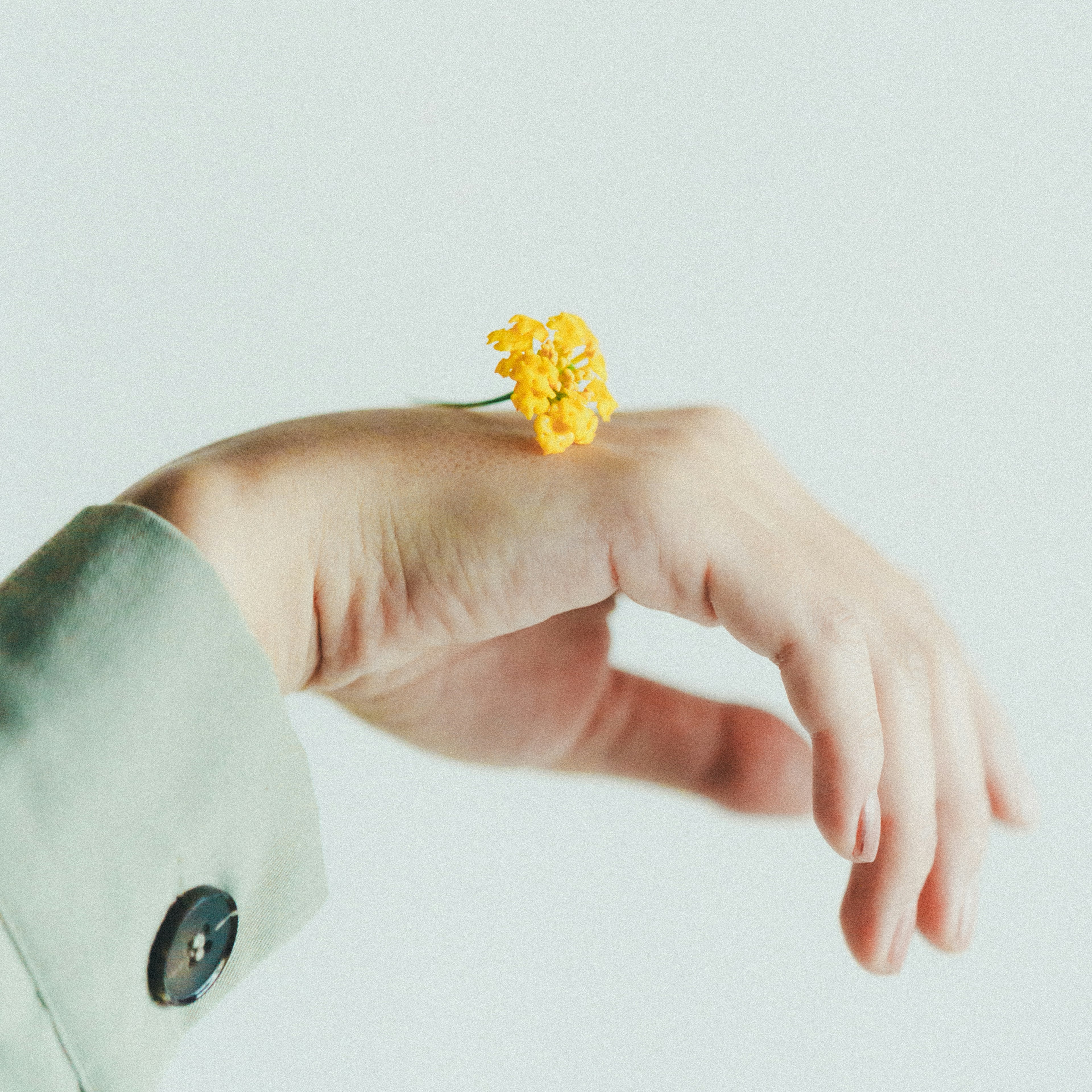 Mano con una flor amarilla en la muñeca