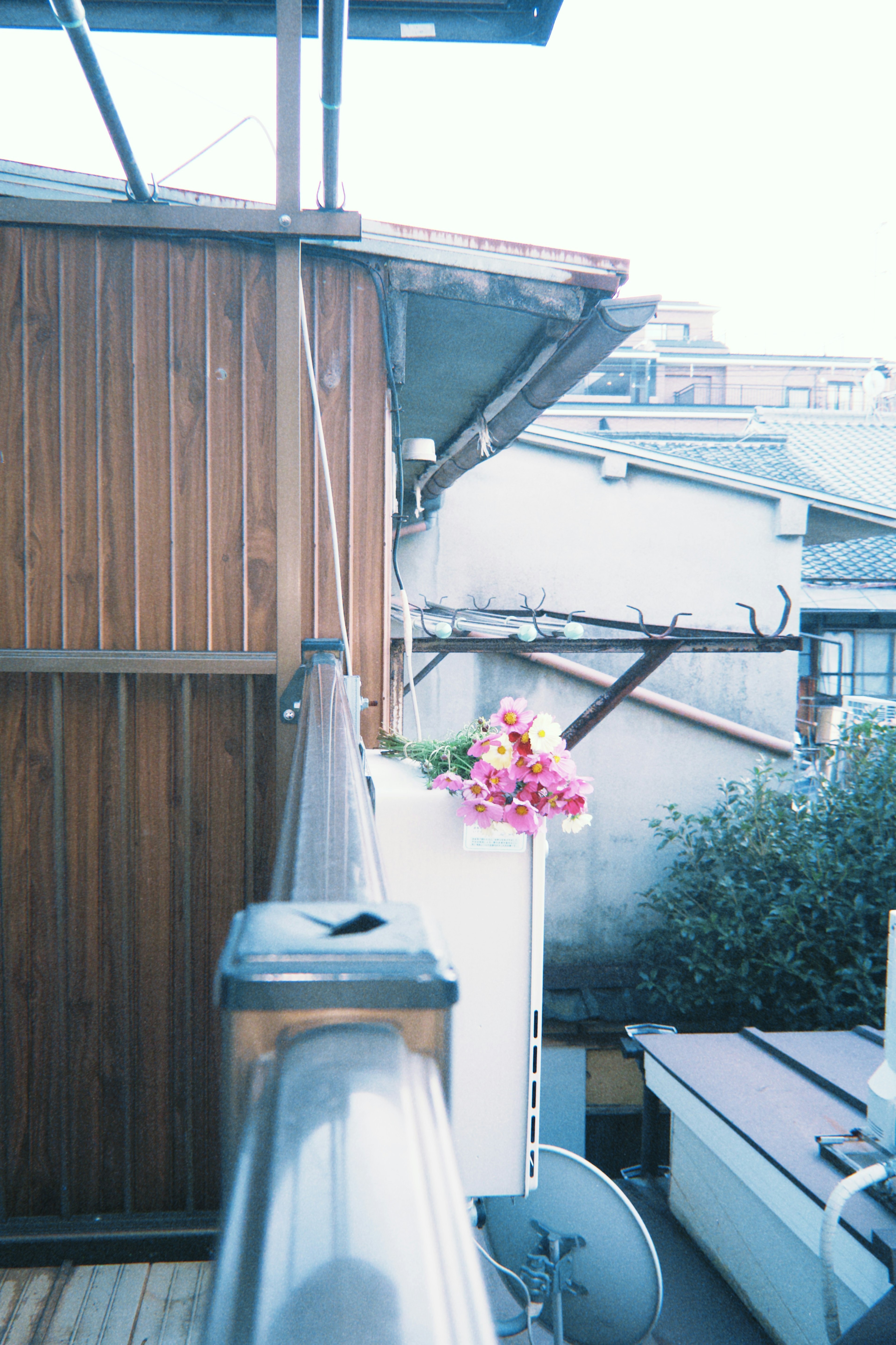 Vue extérieure avec un mur en bois et des fleurs en fleurs