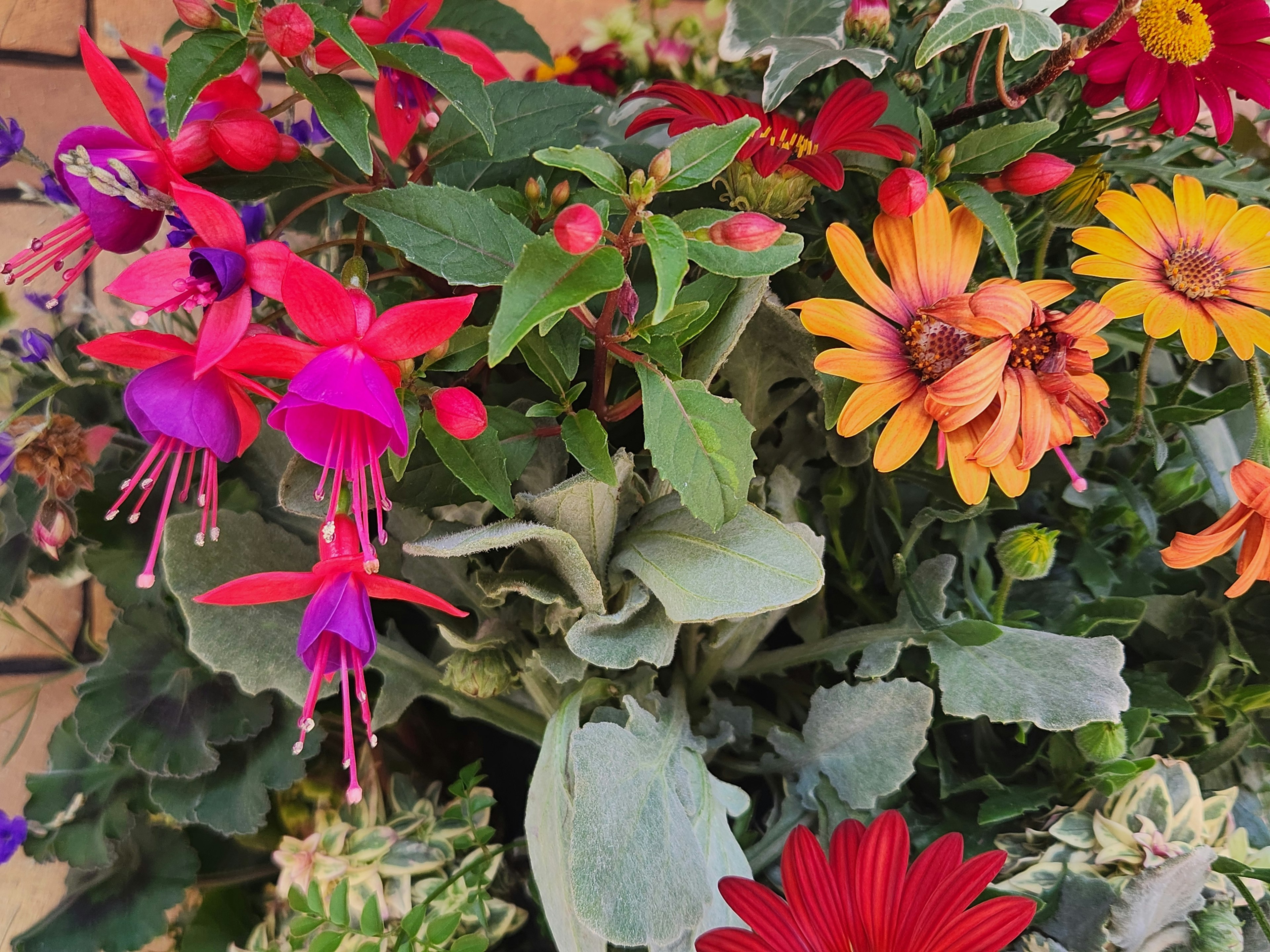 Primer plano de un ramo vibrante con varias flores coloridas