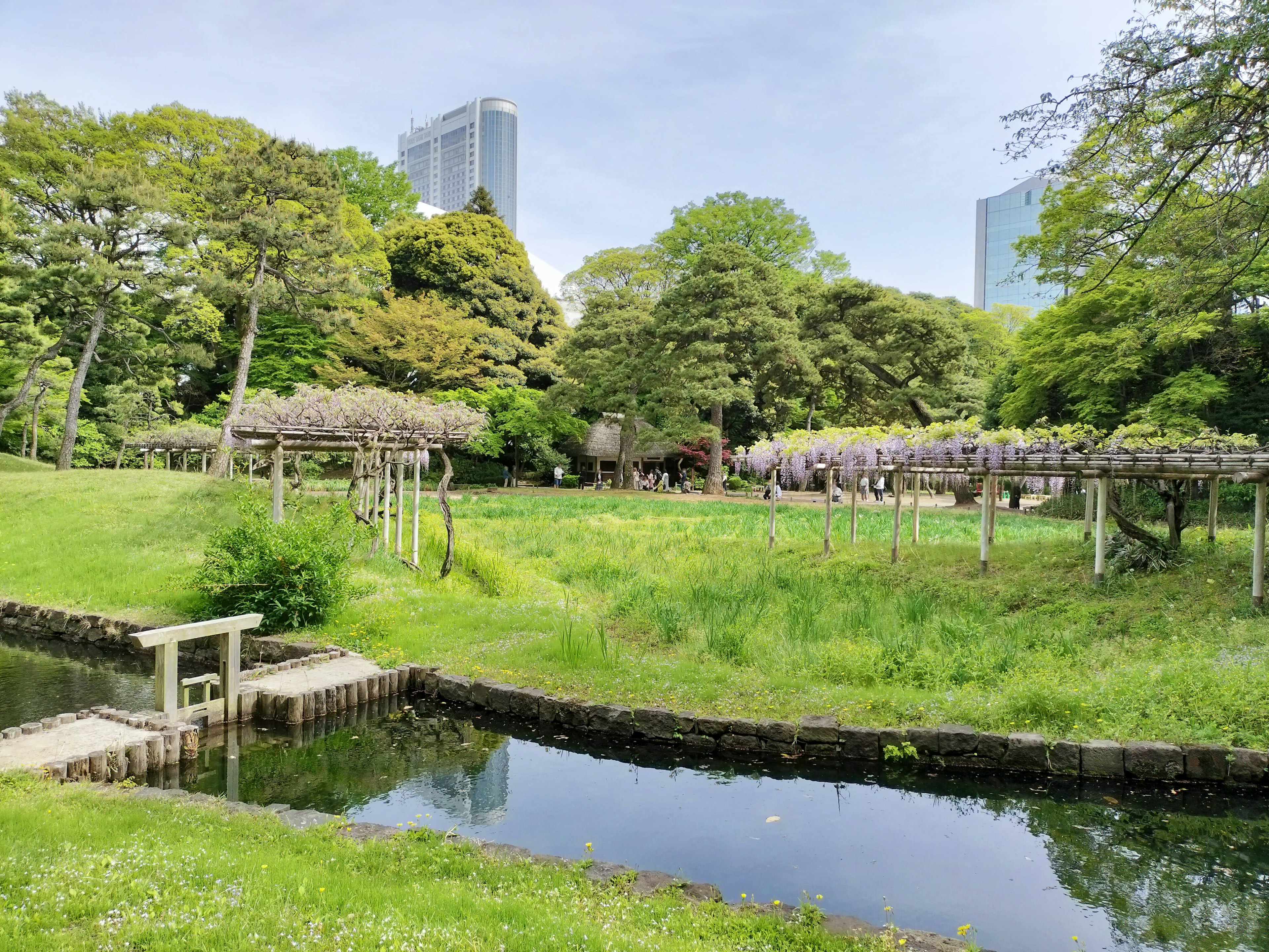 Lush park landscape with a backdrop of skyscrapers