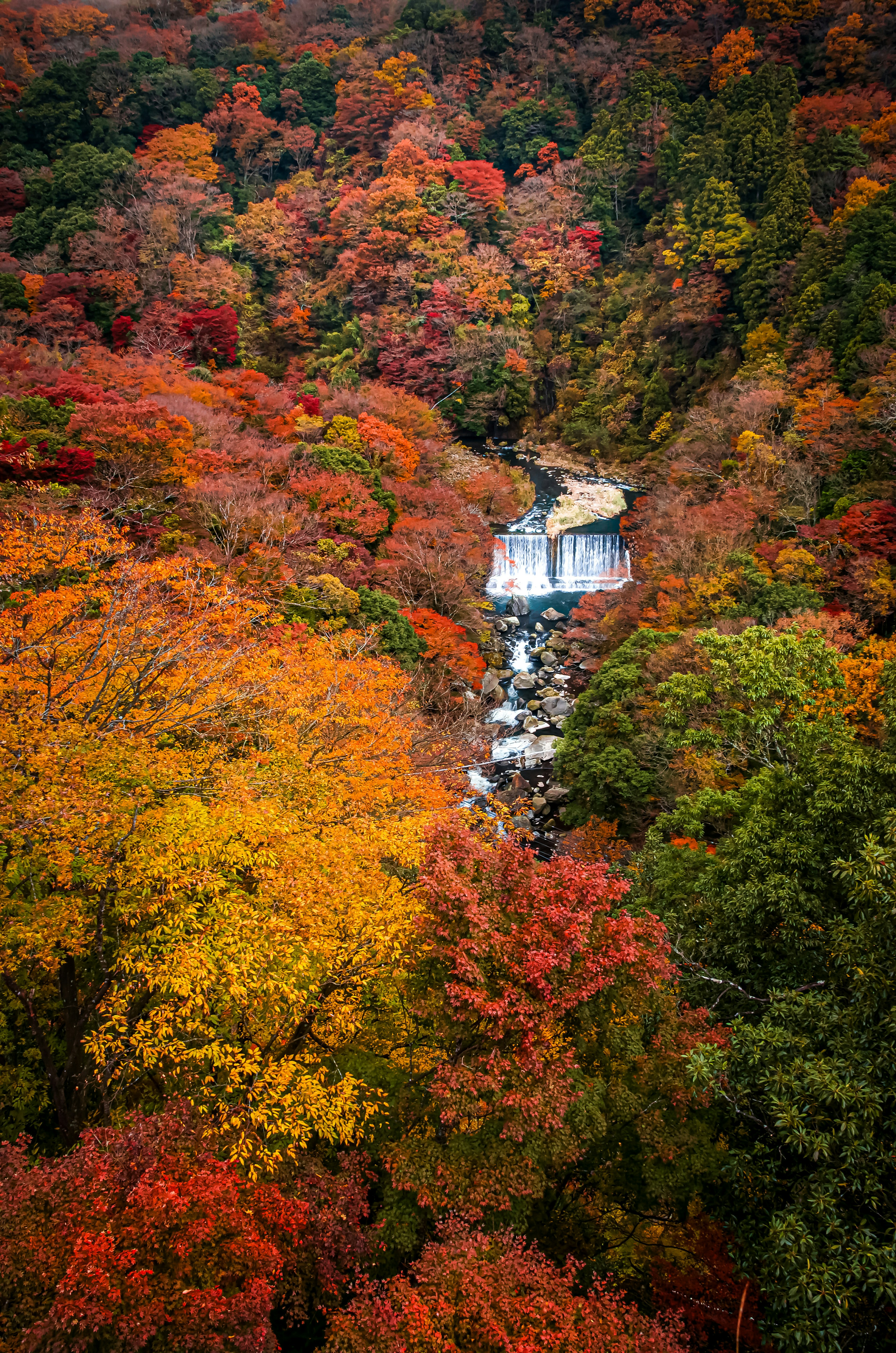 Stunning waterfall surrounded by autumn foliage