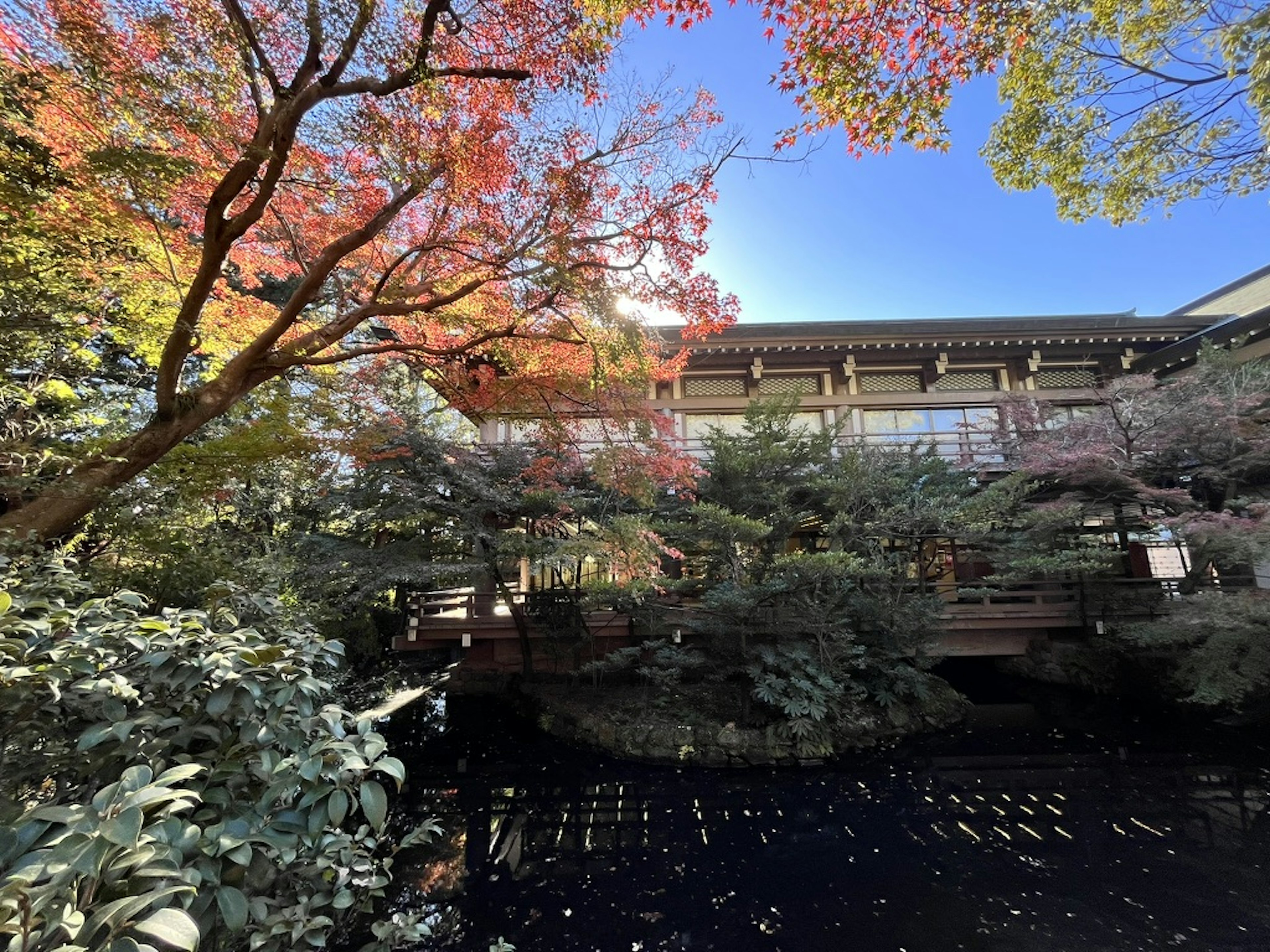 Malersicher japanischer Garten mit lebendigem Herbstlaub und einem ruhigen Teich