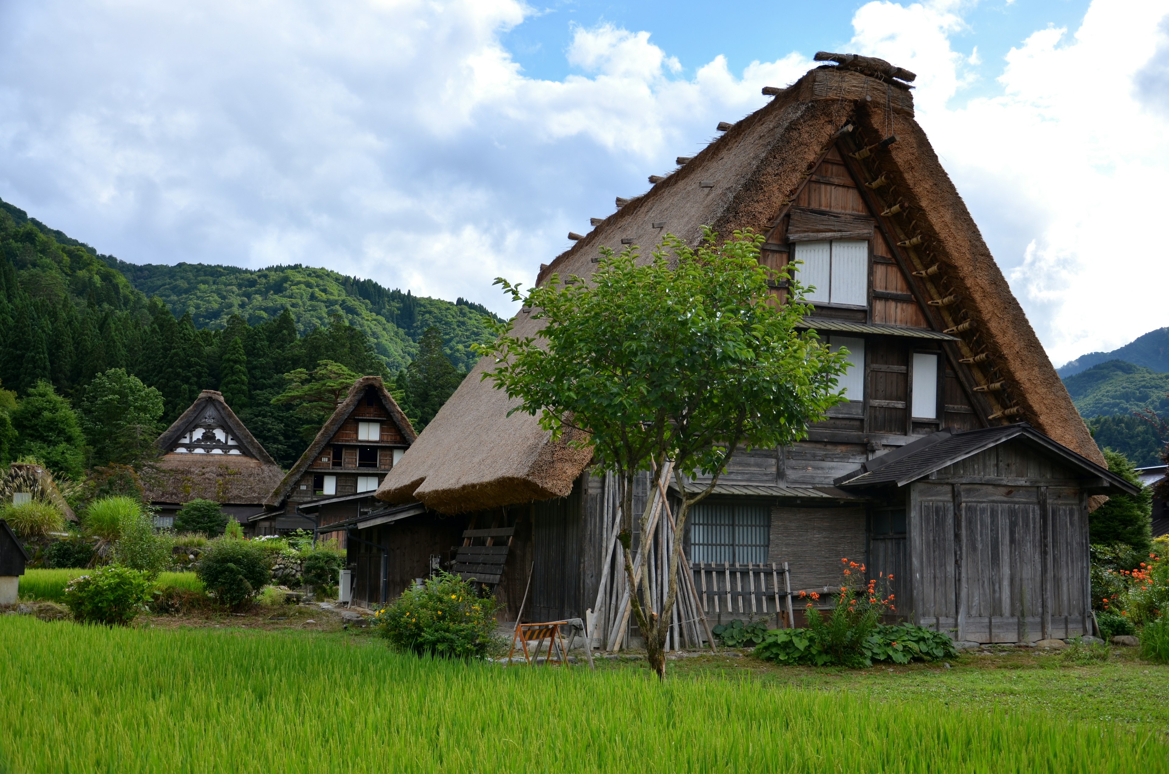 Traditional gassho-zukuri house surrounded by lush mountains and rice fields