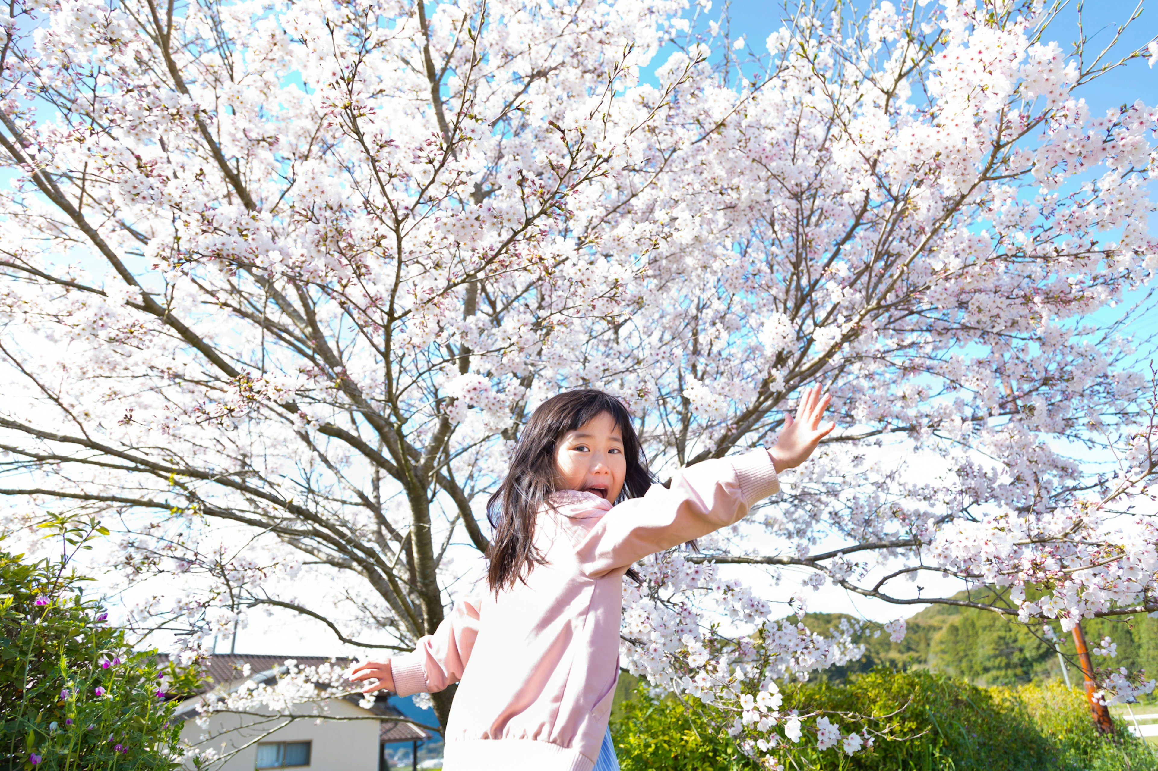 Niña jugando alegremente bajo un árbol de cerezo en flor