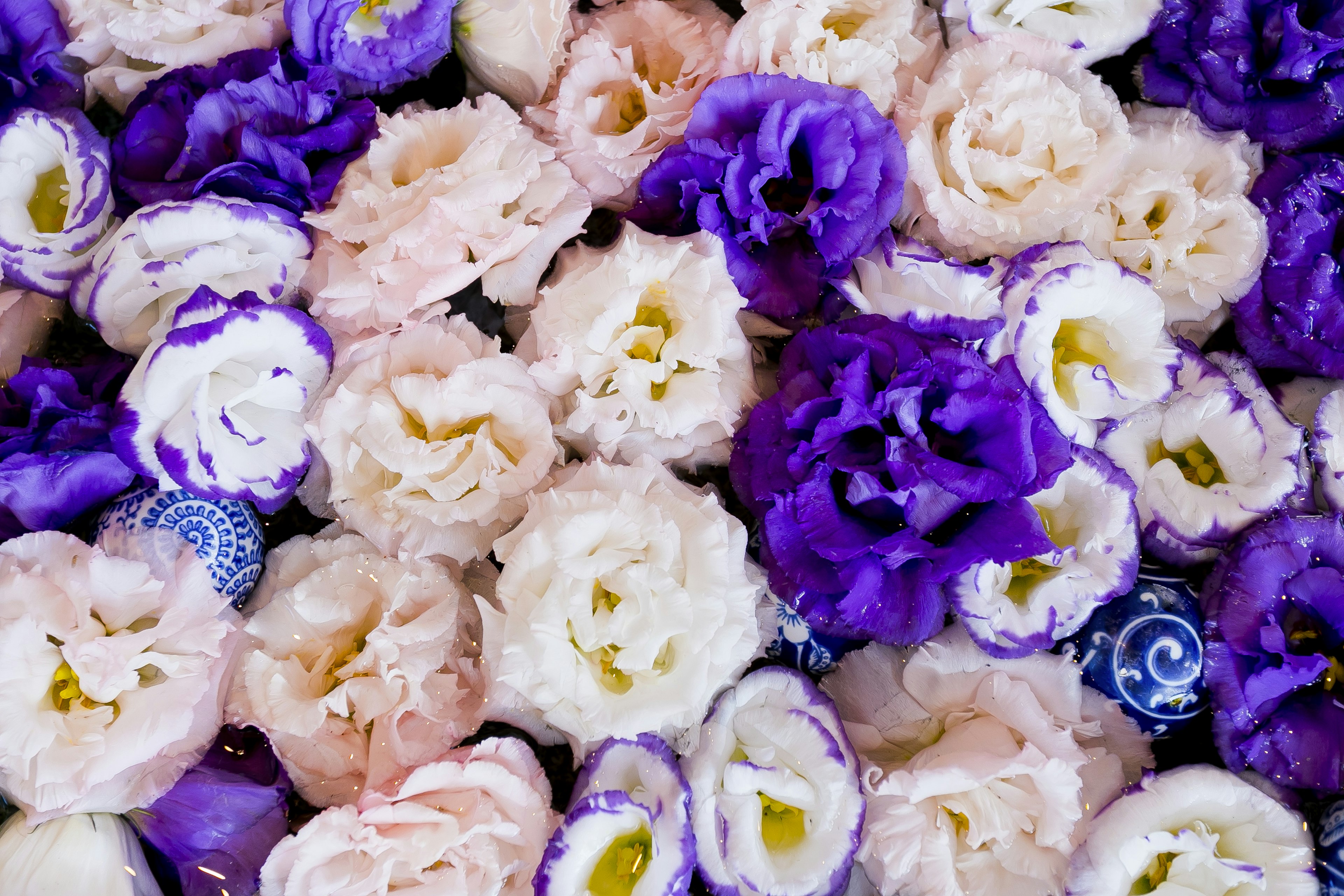 Ein schönes Blumenarrangement mit bunten Blumen in Lila- und Rosatönen