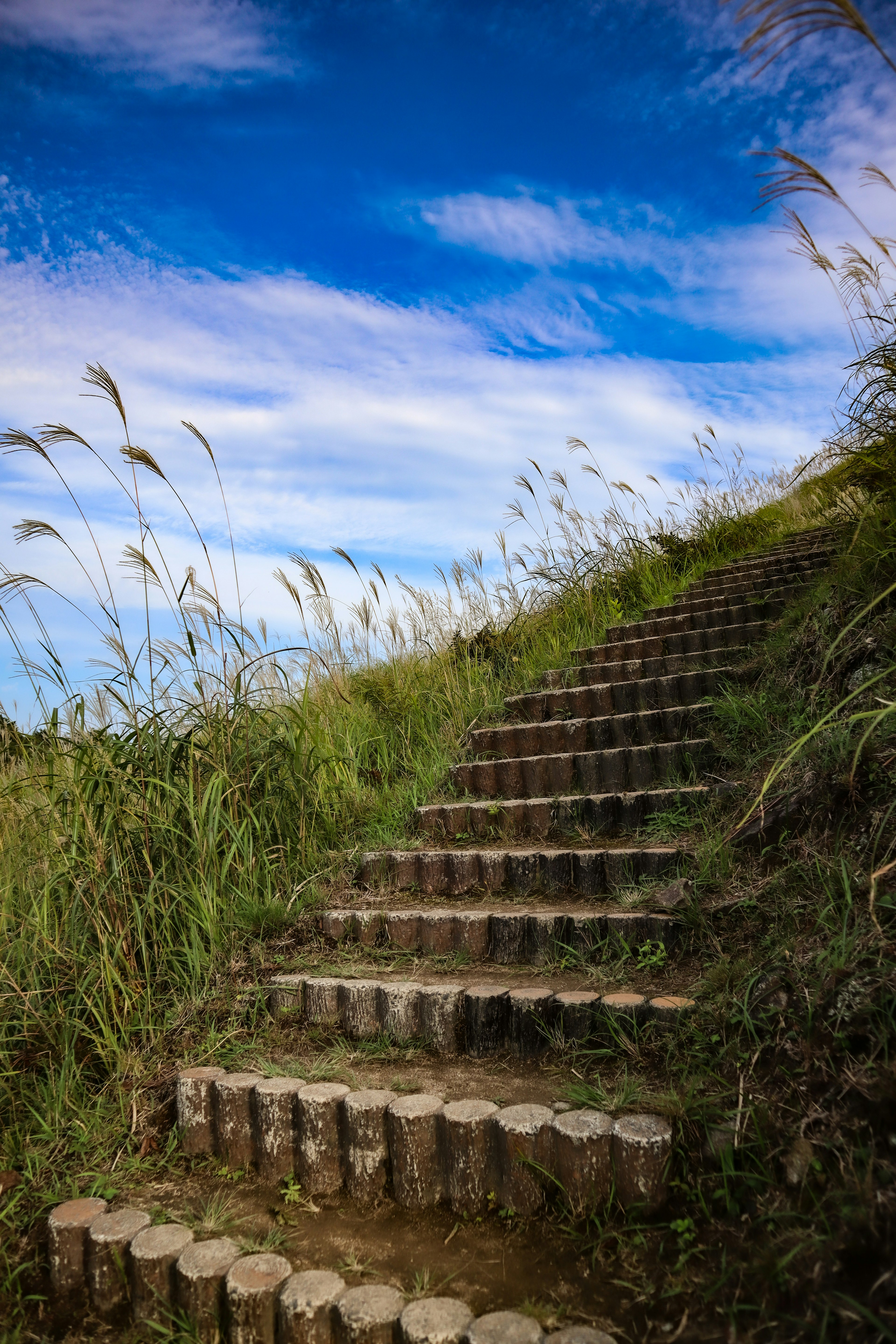 Escalier en bois entouré d'herbe et de ciel bleu