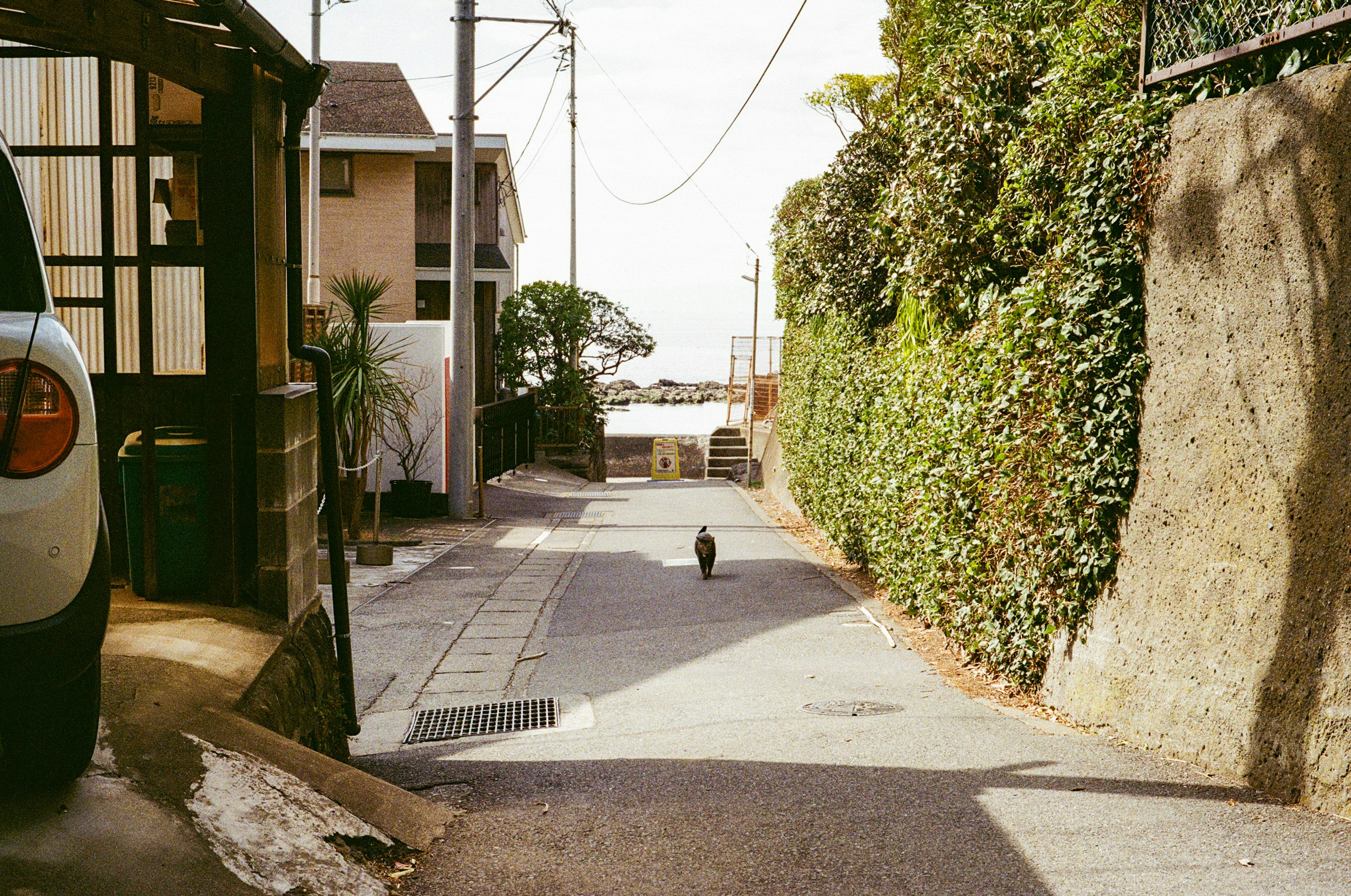 Une ruelle étroite avec un chat noir marchant et des maisons environnantes