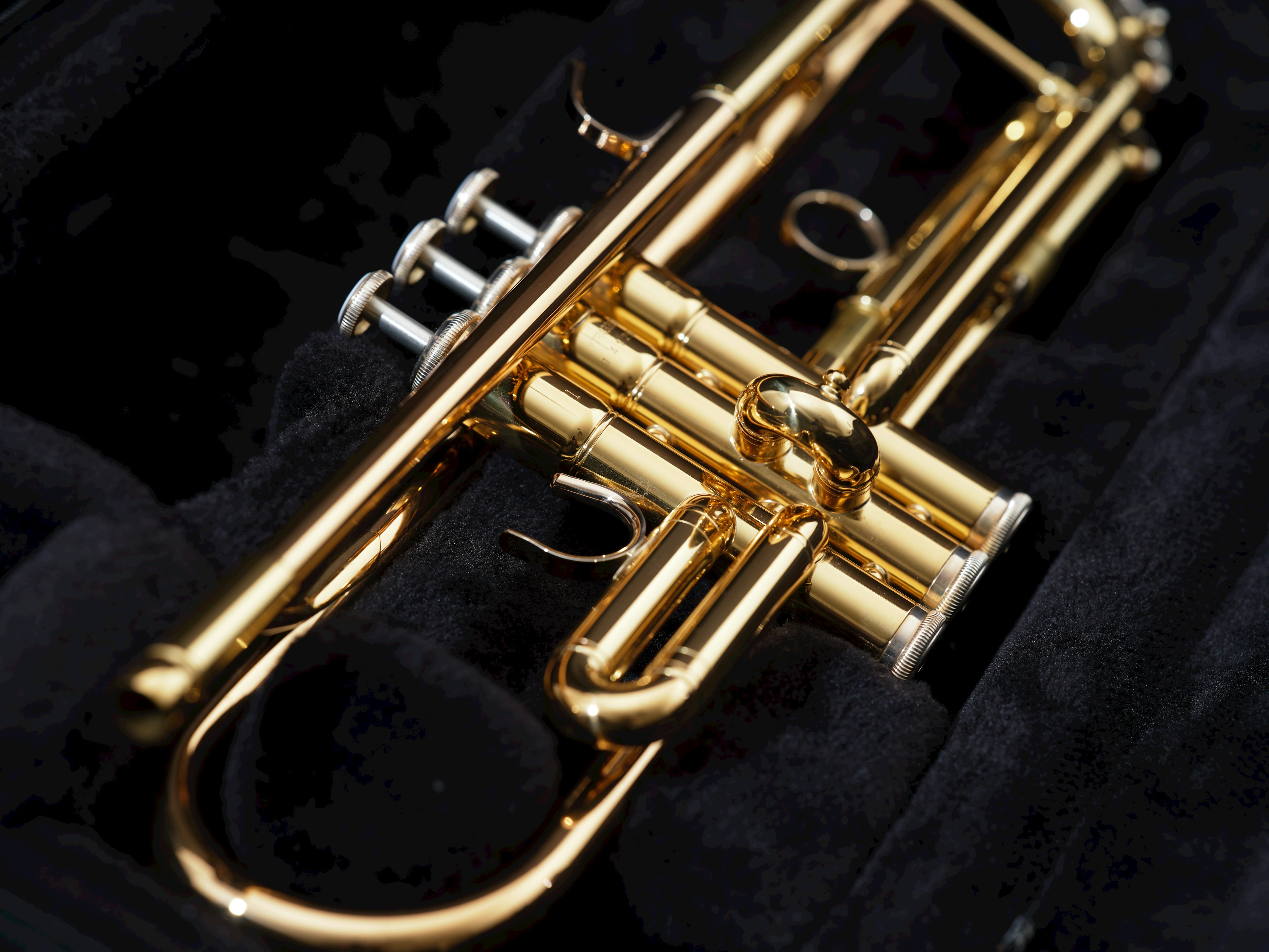 A golden trumpet placed inside a black case