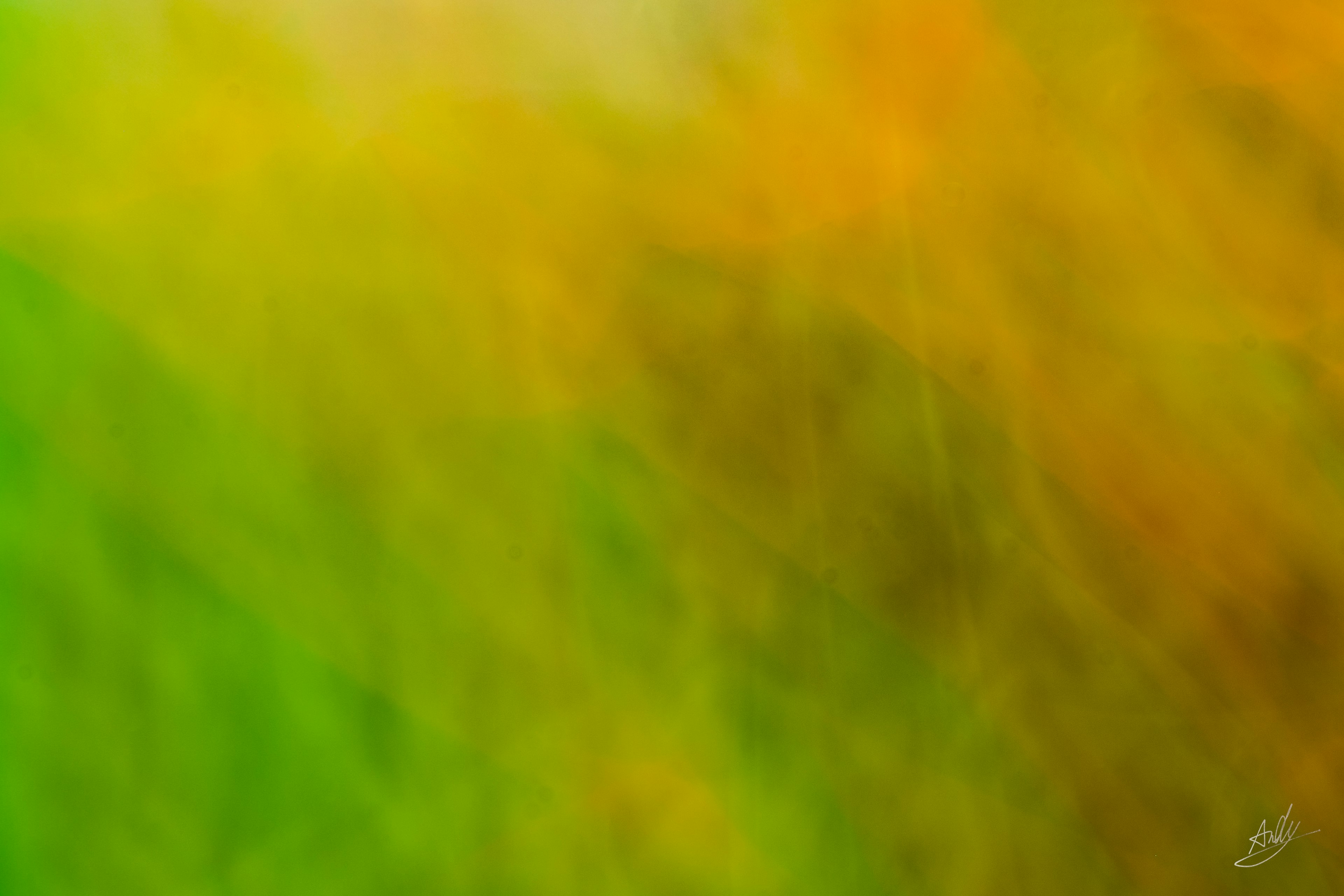 Abstract gradient of colors blending green and orange background