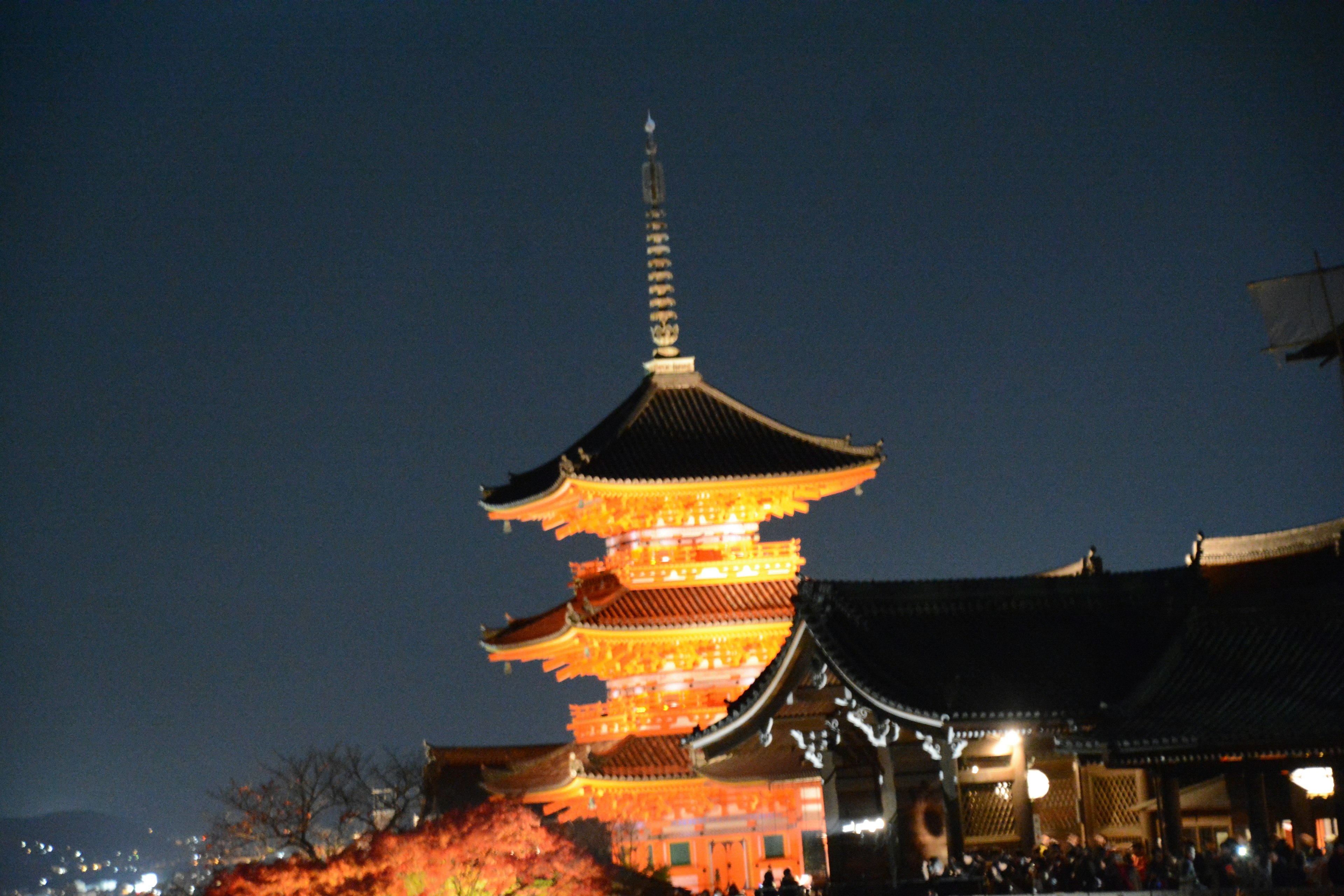 Tháp Kiyomizu-dera được chiếu sáng vào ban đêm với phong cảnh xung quanh