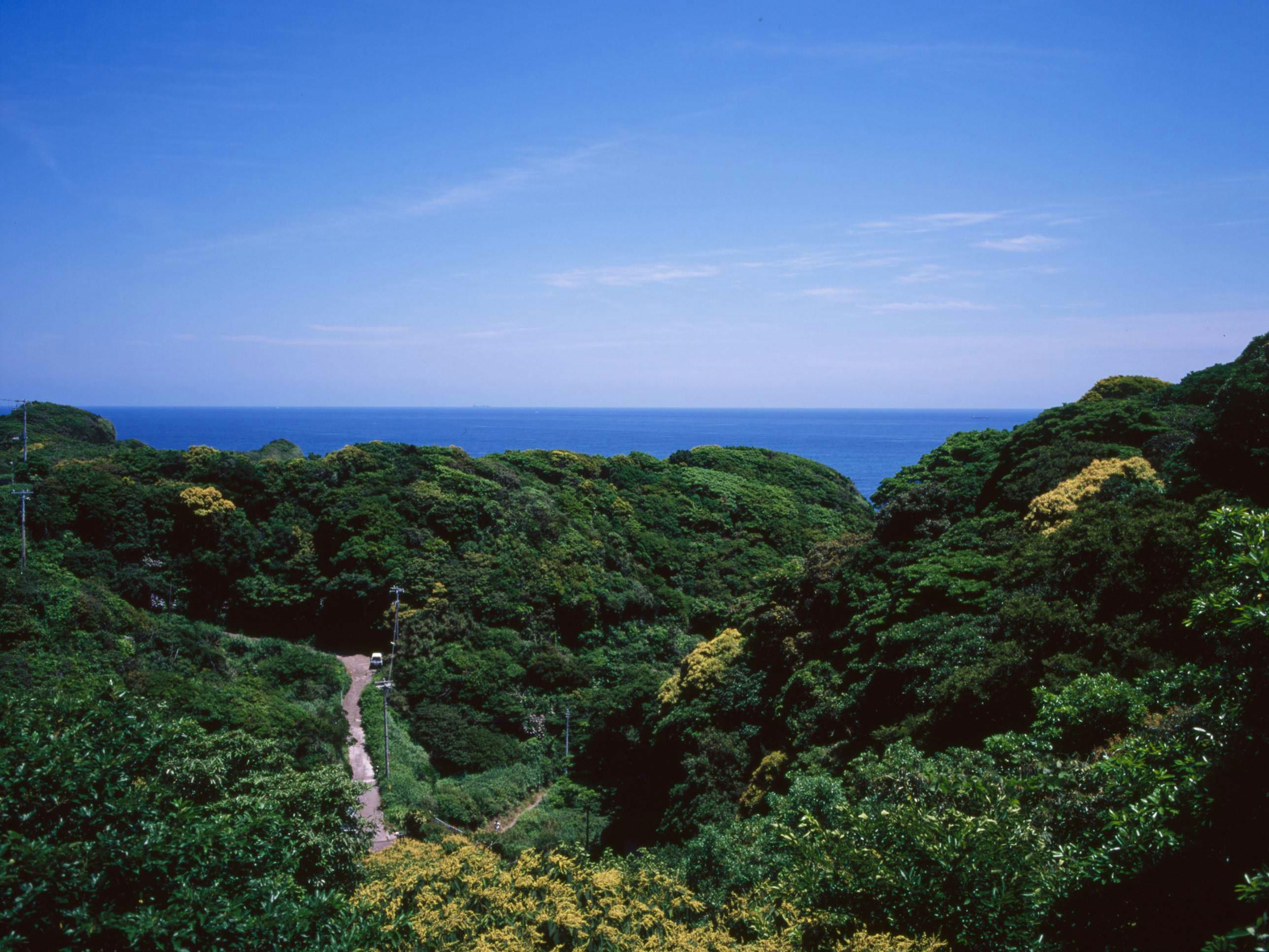 藍色海洋和郁郁蔥蔥的山丘的美景 鮮豔的樹木和晴朗的天空