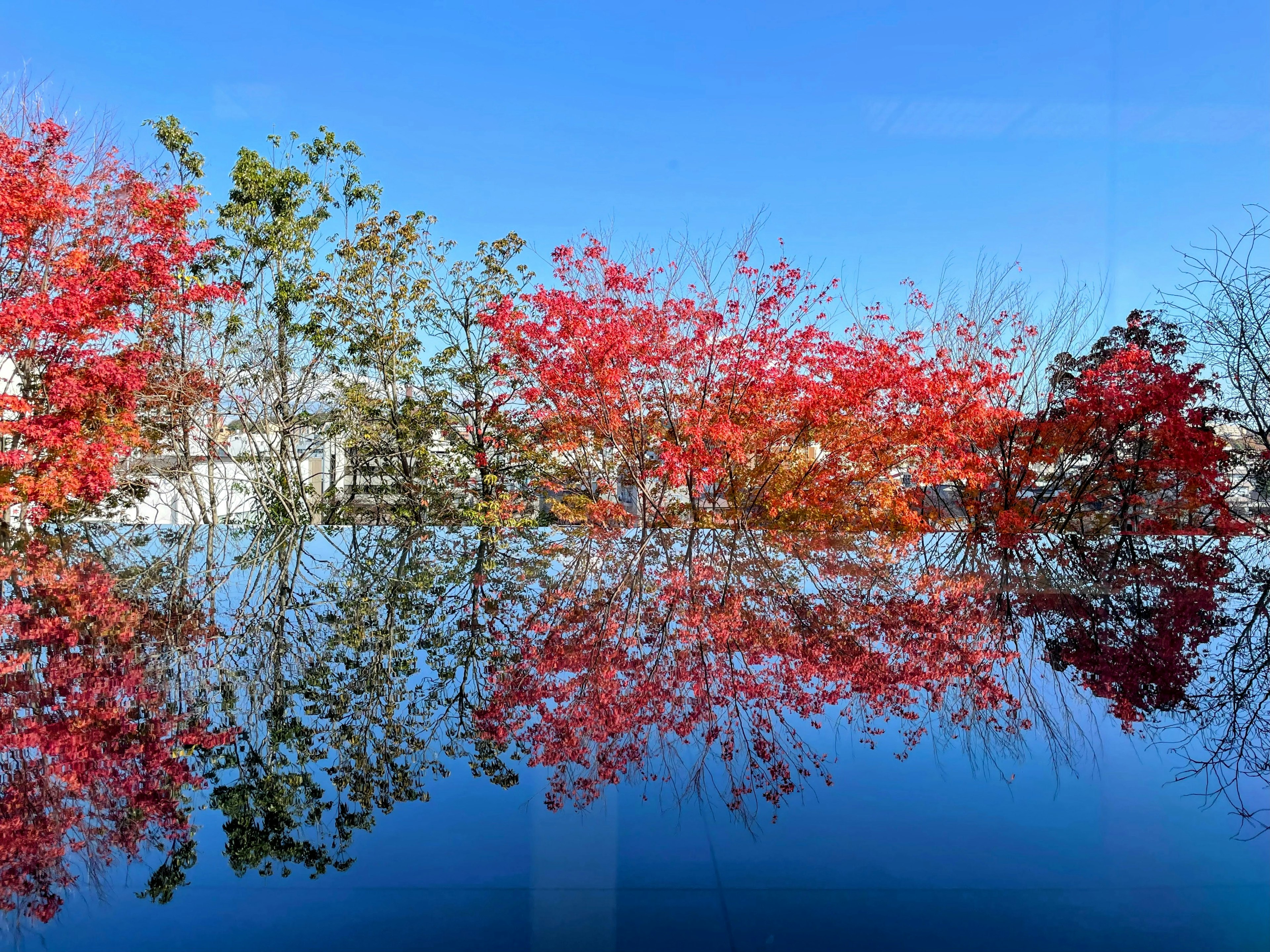 Lago sereno reflejando un follaje otoñal vibrante