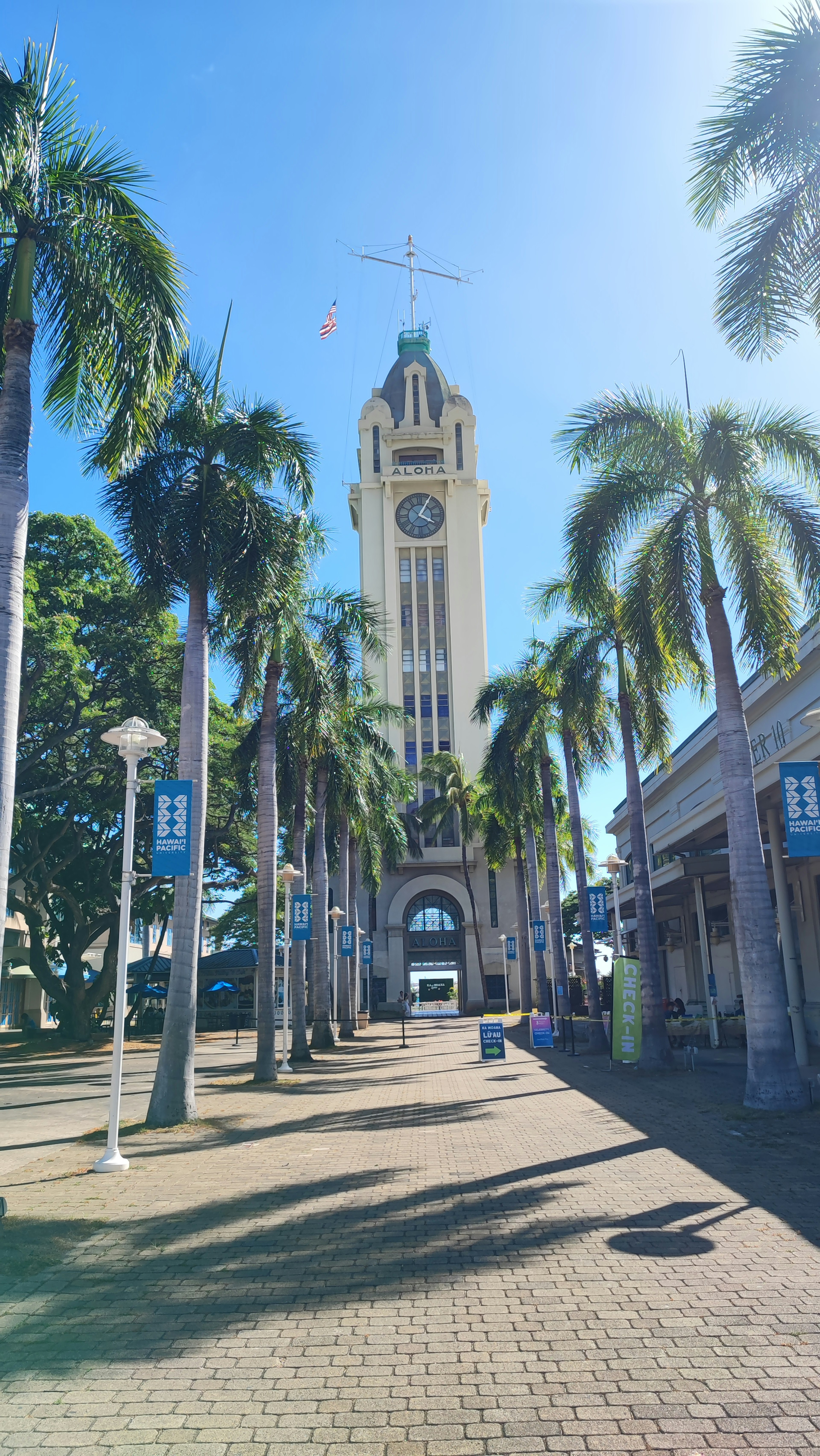 Alto campanile con palme lungo il viale