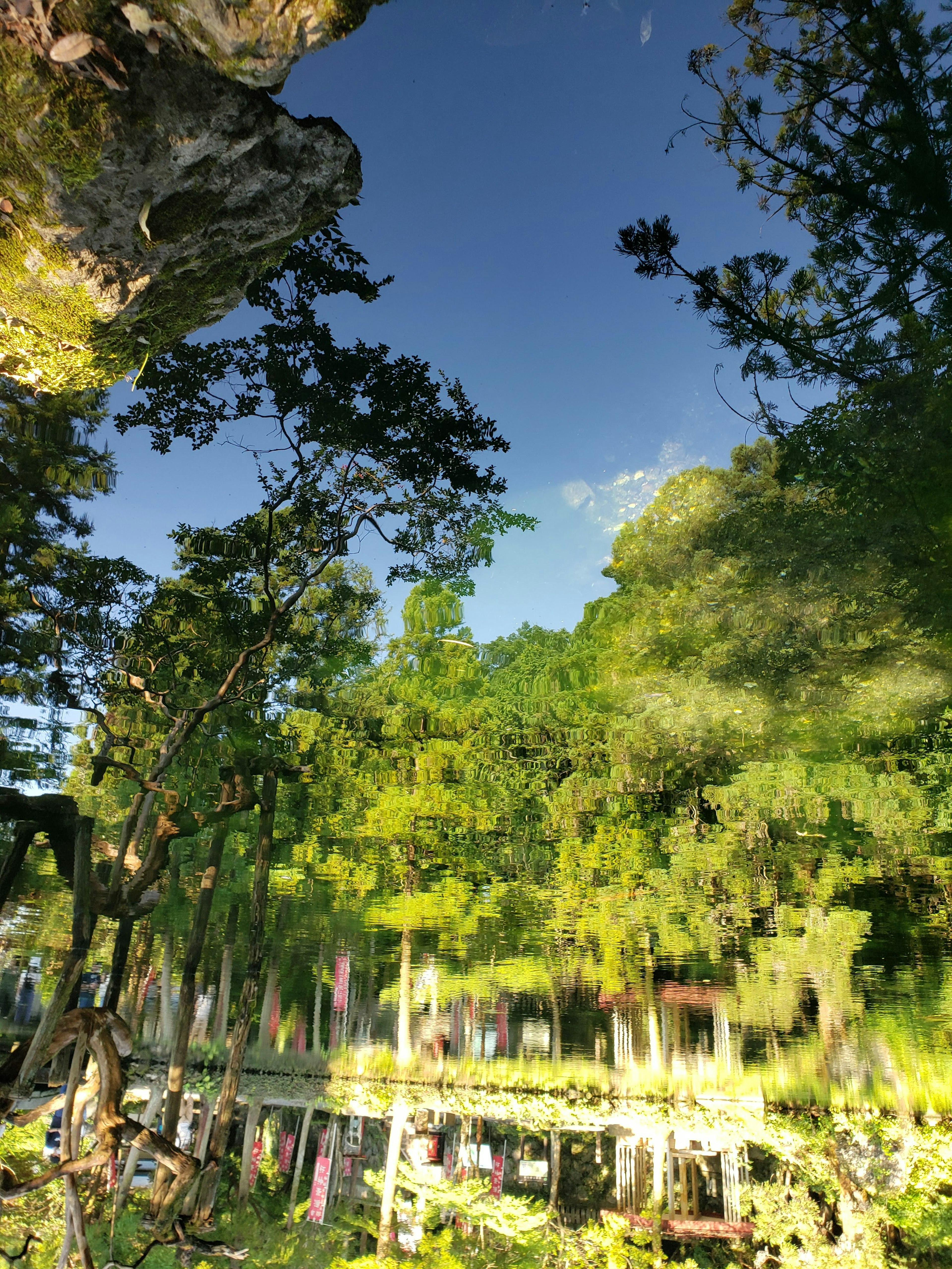 Ruhige Wasseroberfläche, die blauen Himmel und grüne Bäume spiegelt